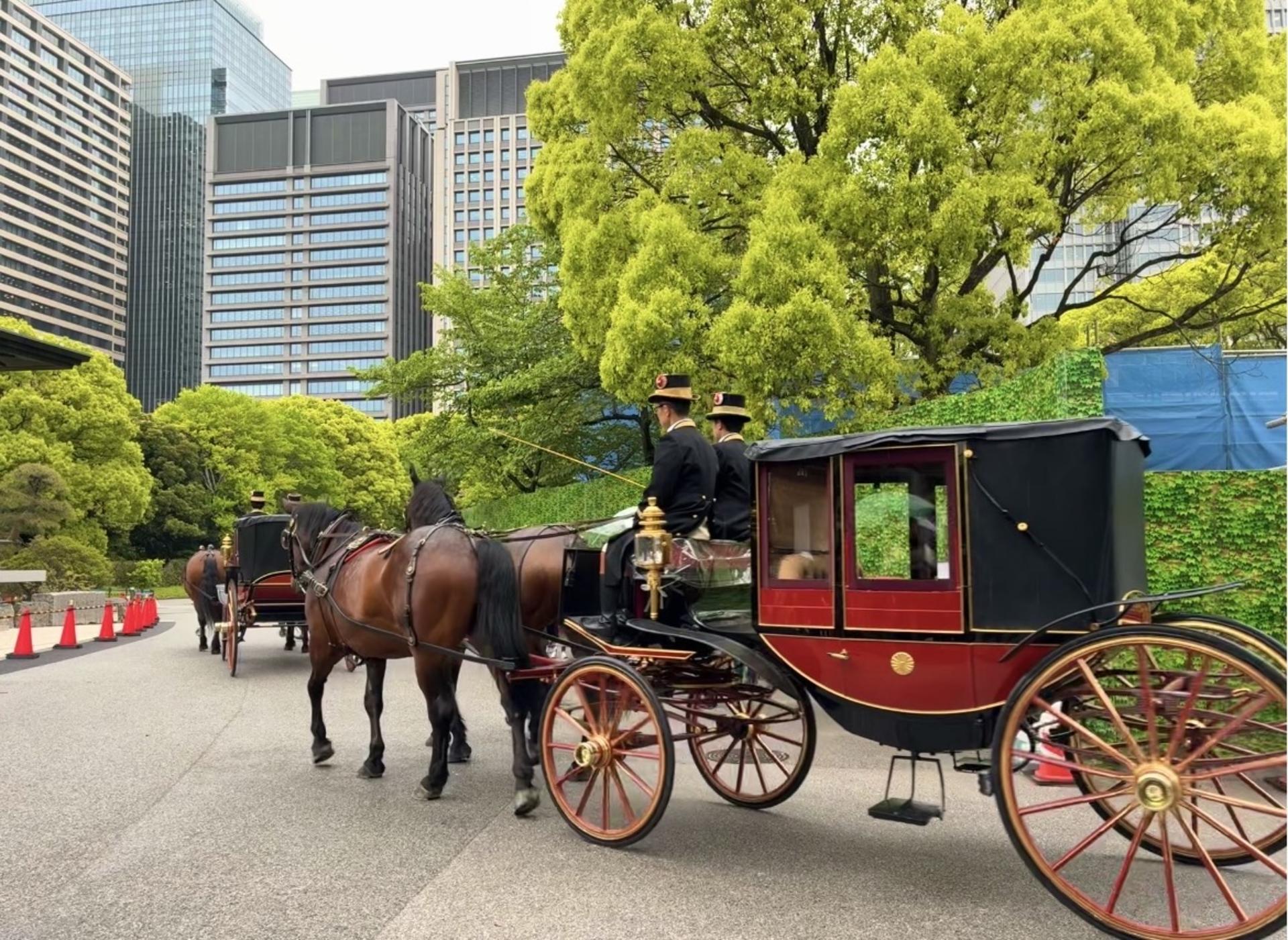 Tokyo: Imperial Palace & Shogun Castle Walking Tour - Thumbnail 15