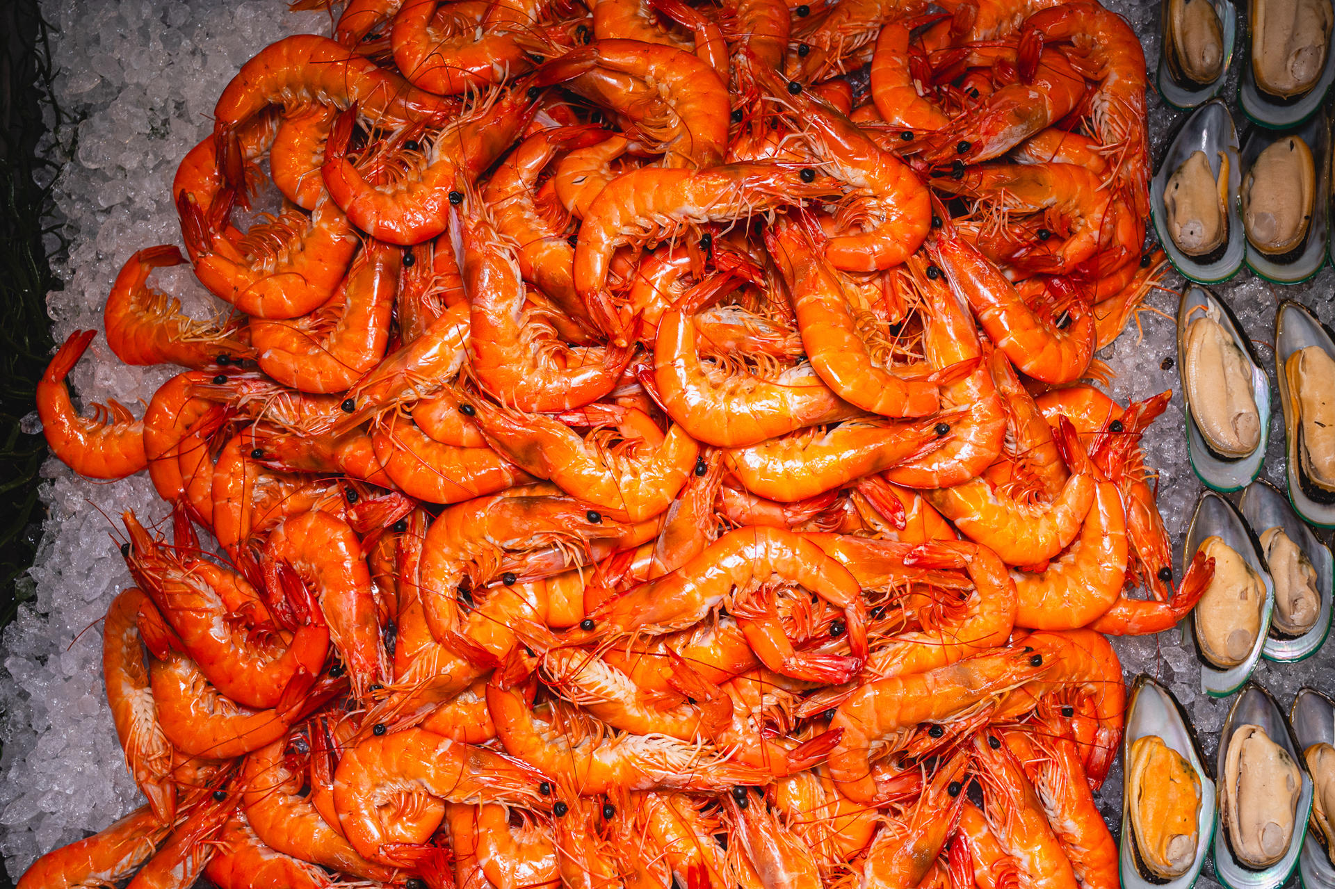Vantage Point Buffet at Queen Sirikit National Convention Center - Thumbnail 27