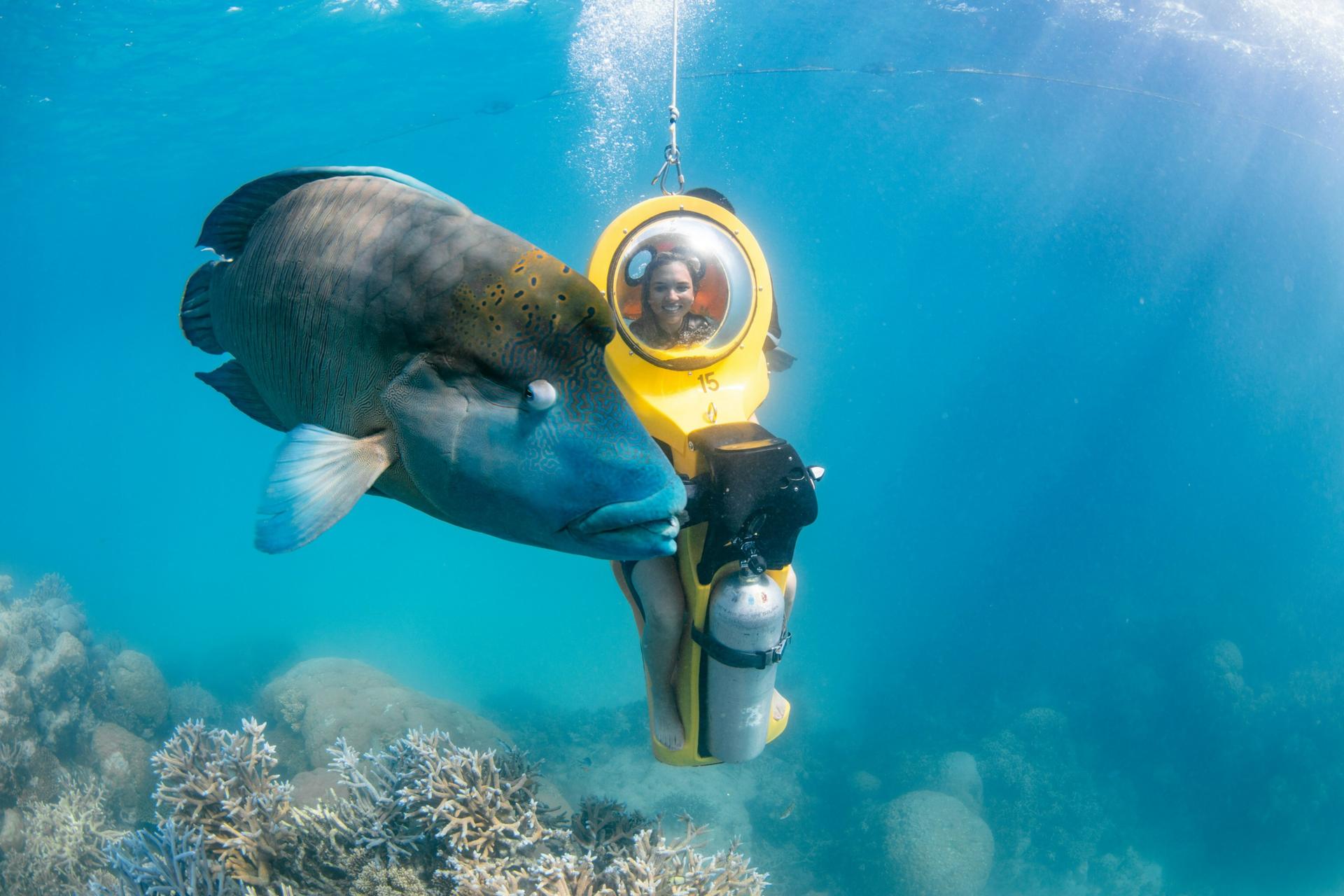 Great Barrier Reef Pontoon from Cairns including Snorkelling - Thumbnail 12