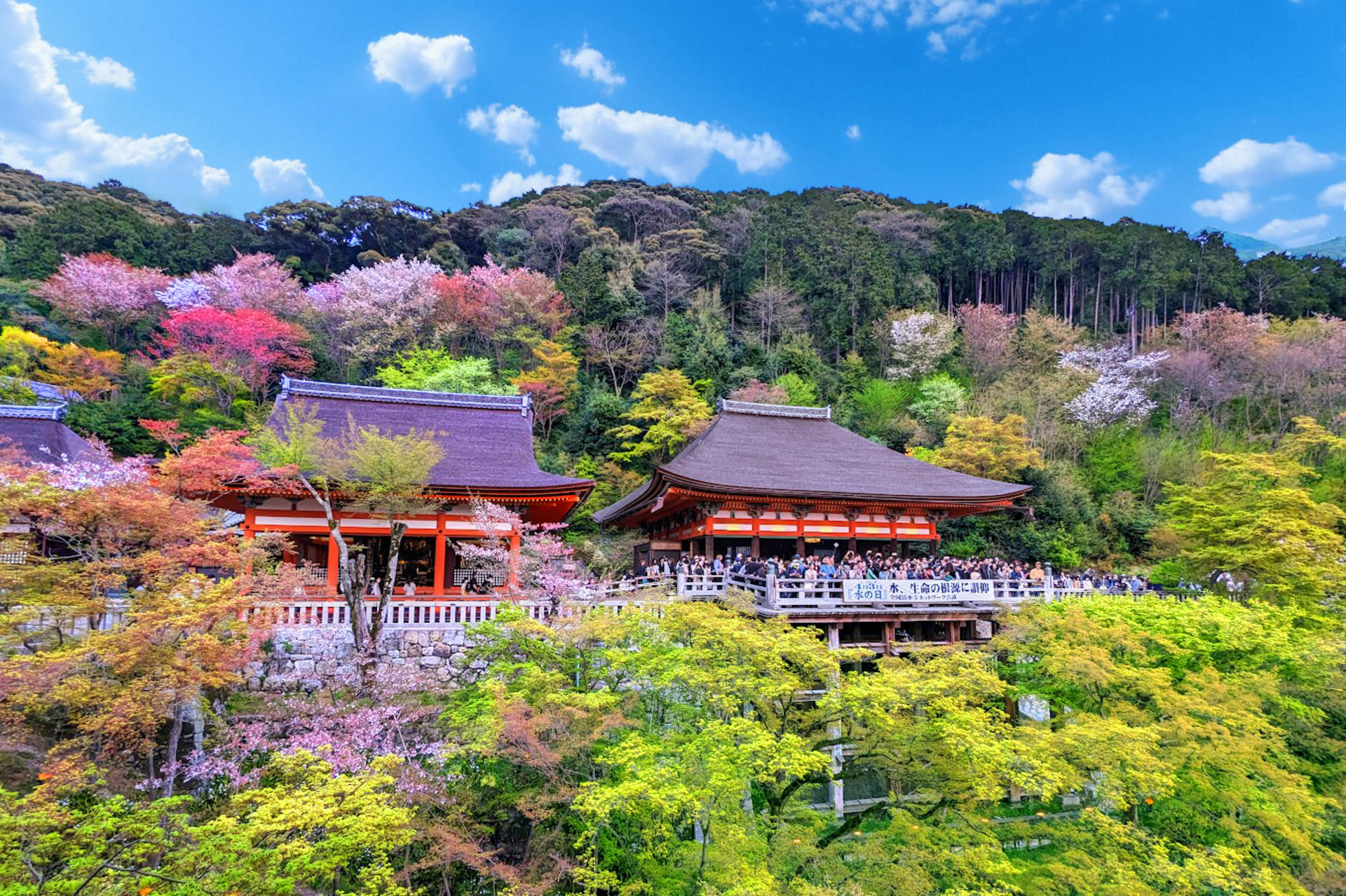 Kyoto & Uji World Heritage One-Day Tour: Kinkaku-ji Temple & Kiyomizu-dera Temple & Byodo-in Temple & Uji Matcha Food Street (Departing from Osaka or Kyoto) - Thumbnail 28