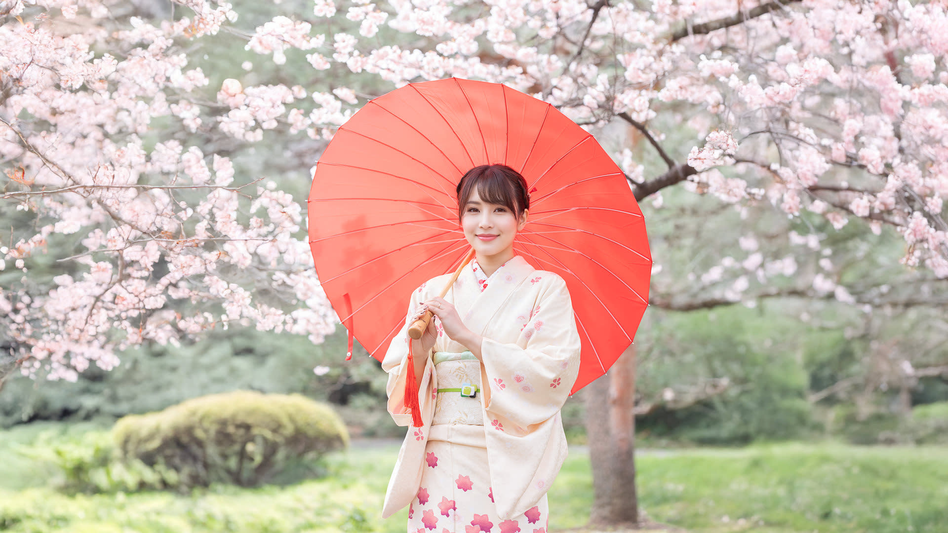 Kimono Rental inside Shinjuku Gyoen National Garden: KOUICHI STORE - Thumbnail 5
