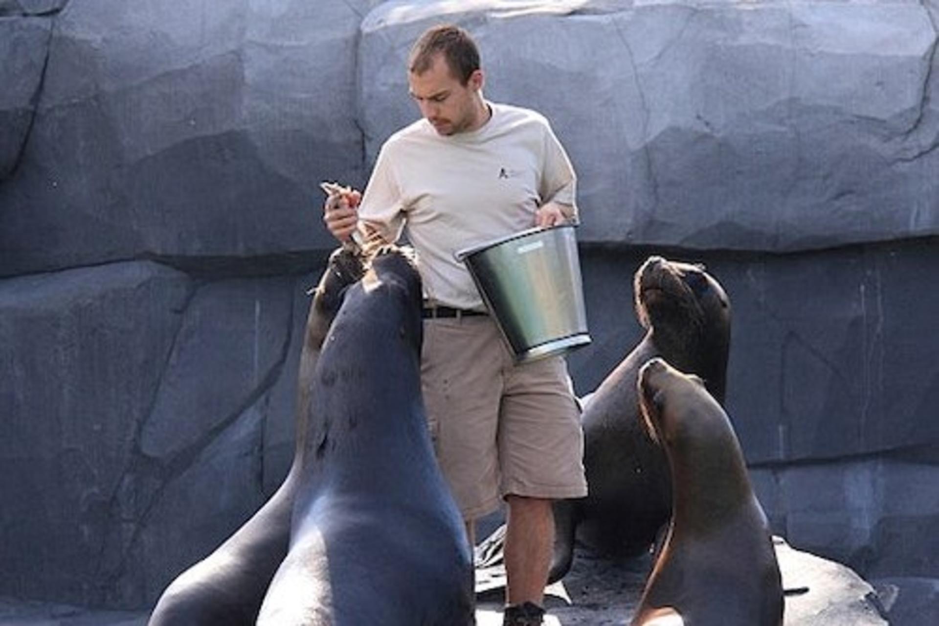 Parc Zoologique de Paris Admission in Paris - Thumbnail 3