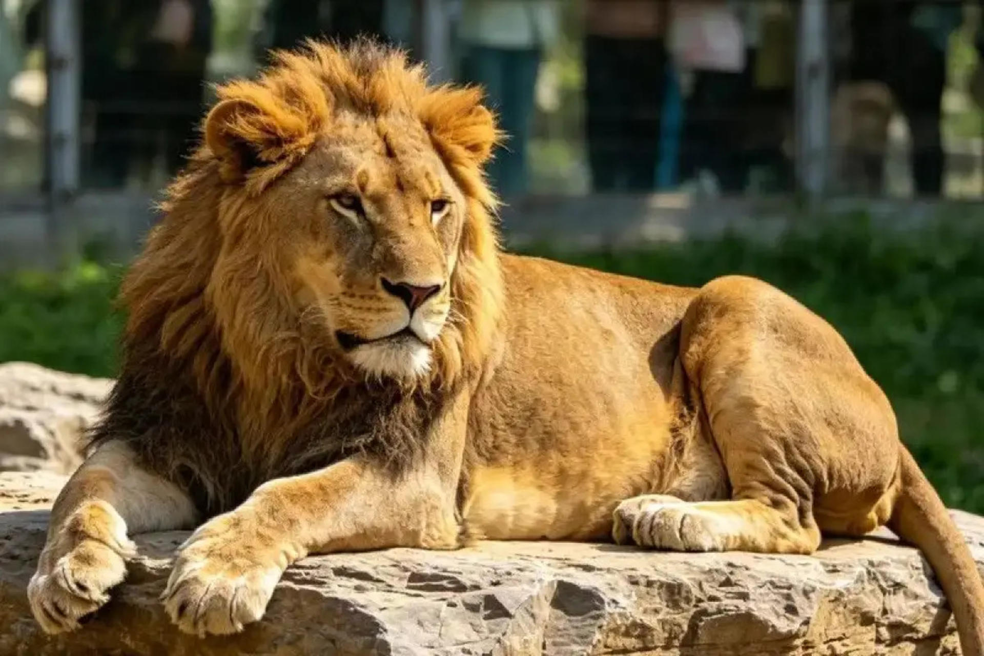 Beijing Wildlife Park Ticket - Thumbnail 7