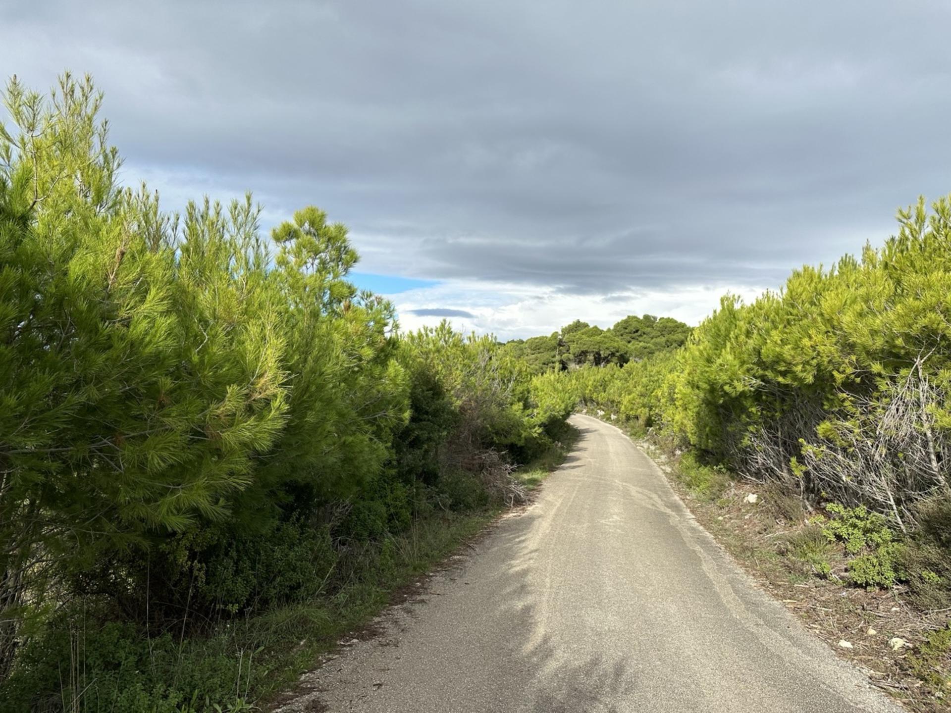 ZTH03. Zakynthos 4x4 Sunset Escape - Thumbnail 2