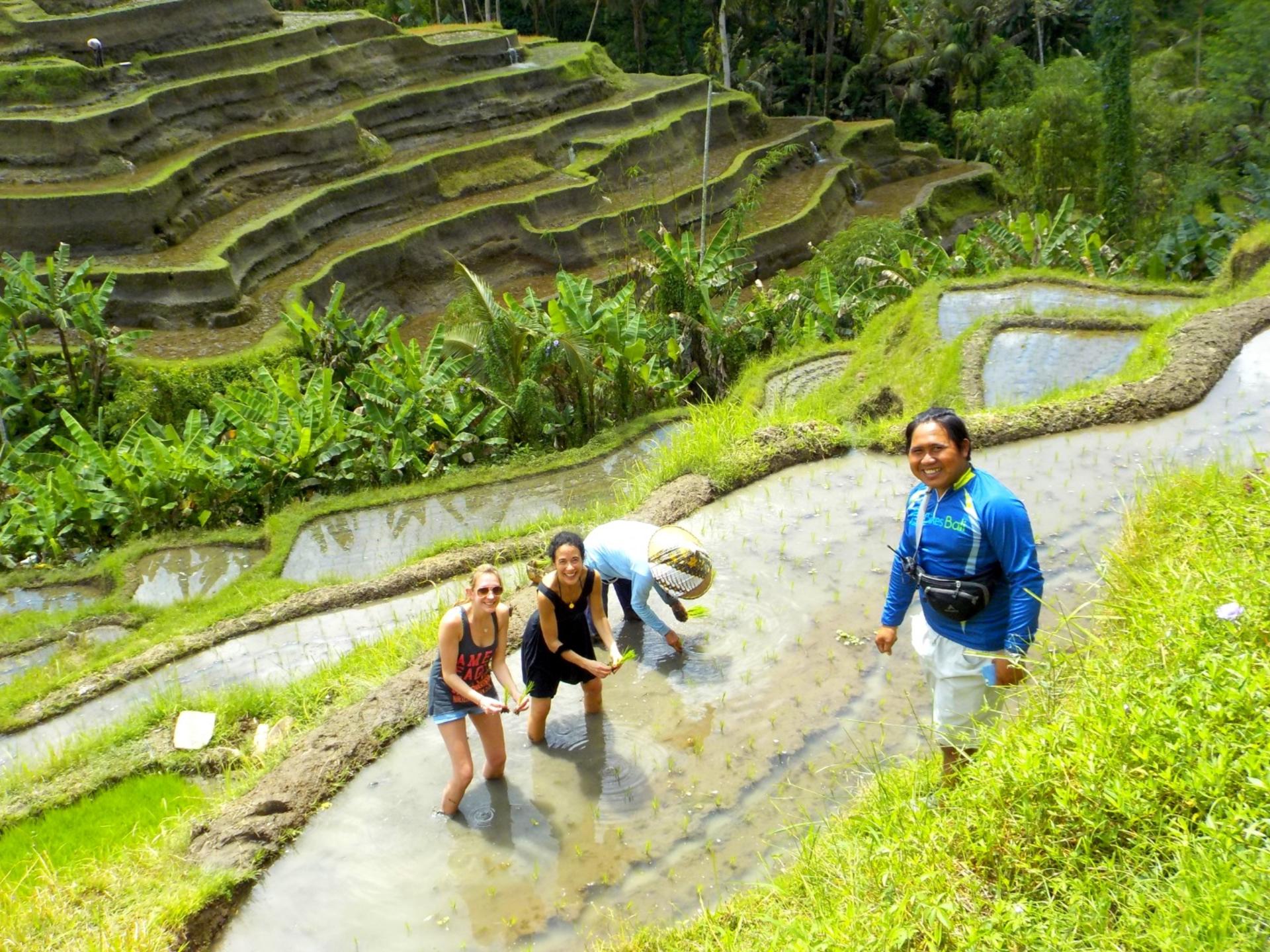 Ubud eBike (Electric Bike) Cycling Tour - Thumbnail 3