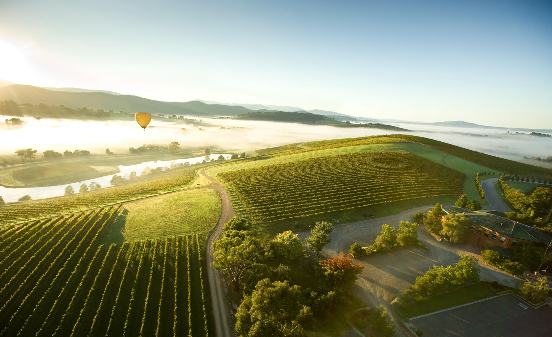 Yarra Valley Wine Day Tour from Melbourne - Thumbnail 2