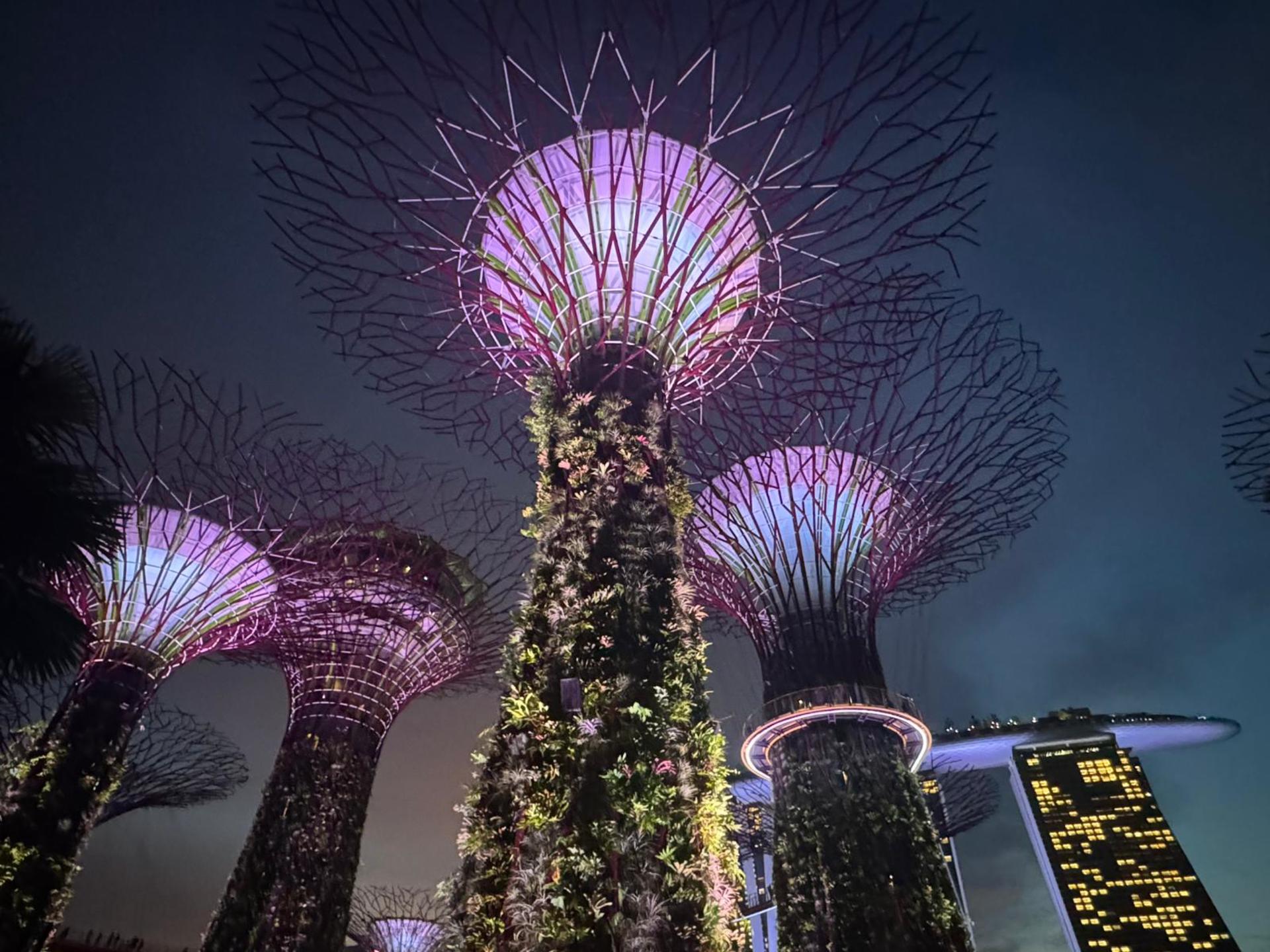 Singapore River Cruise & Light Shows Evening Tour - Thumbnail 8
