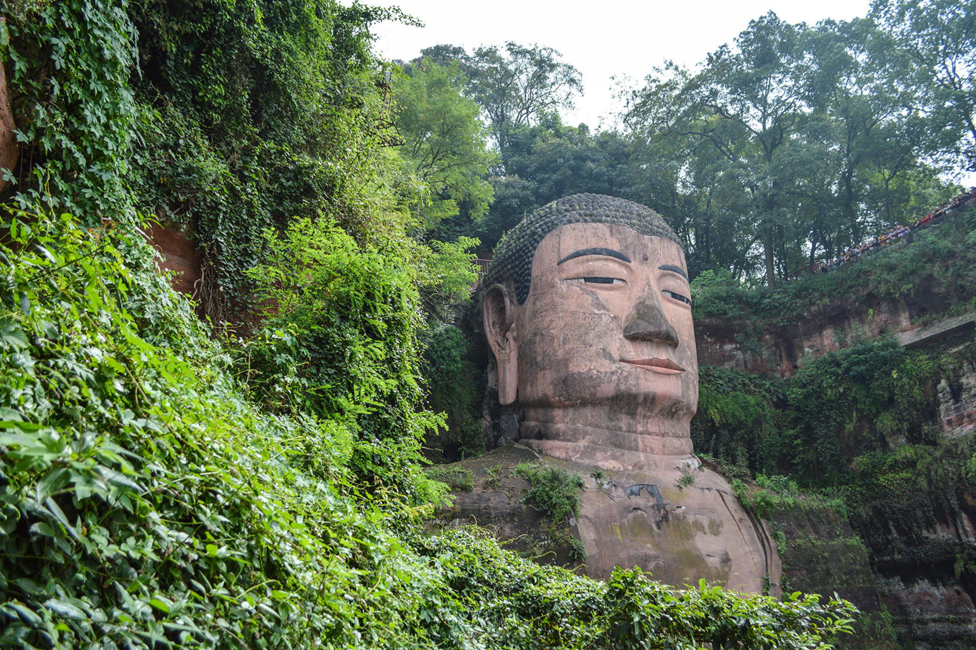 Chengdu Mount Emei/Leshan Giant Buddha private car one-day tour - Thumbnail 6