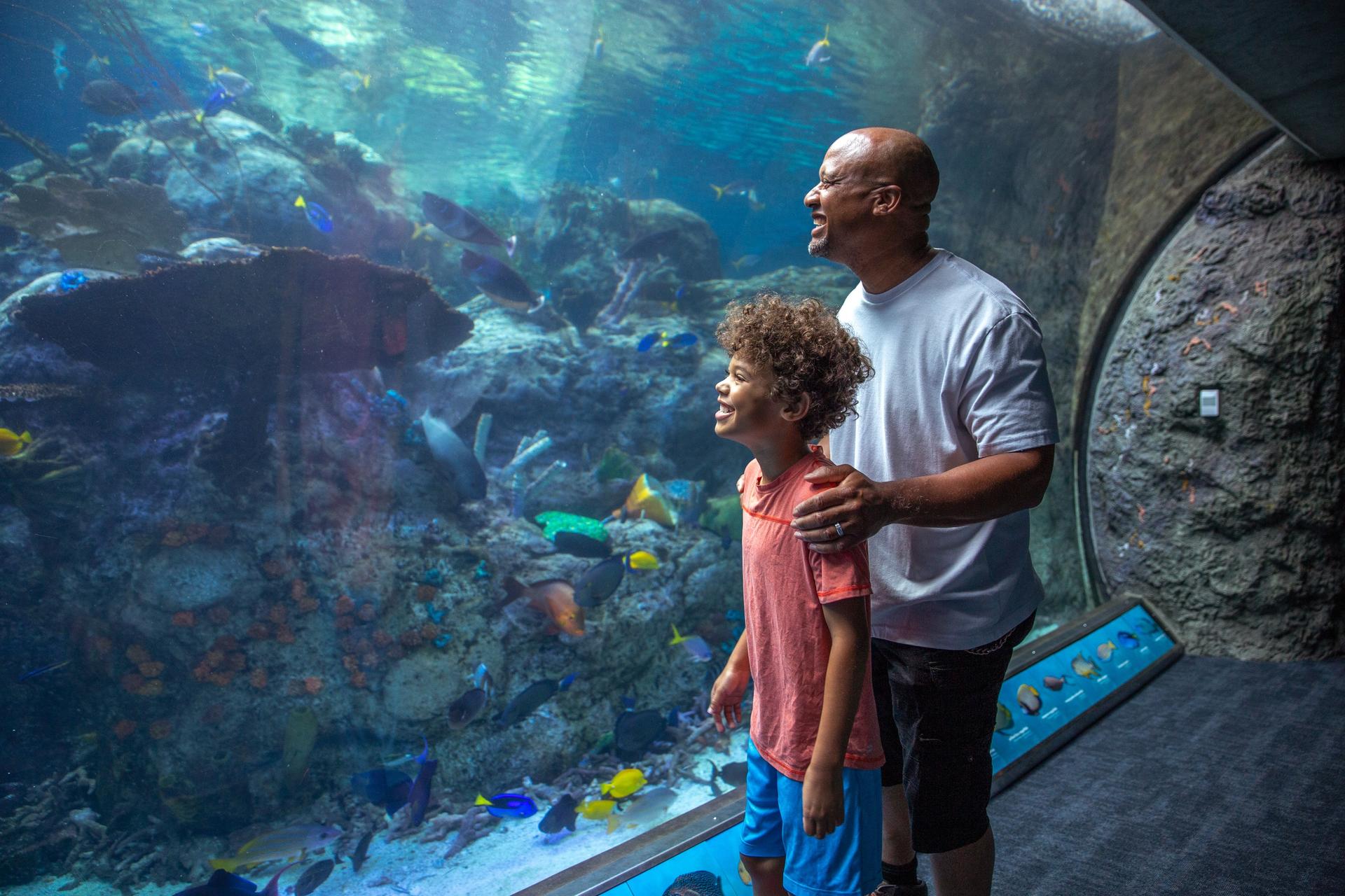 Aquarium of the Pacific Ticket in California - Thumbnail 4