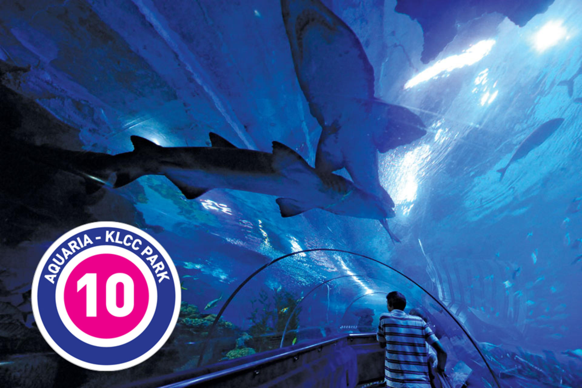KL Hop-On Hop-Off Sightseeing Bus Pass  - Thumbnail 24