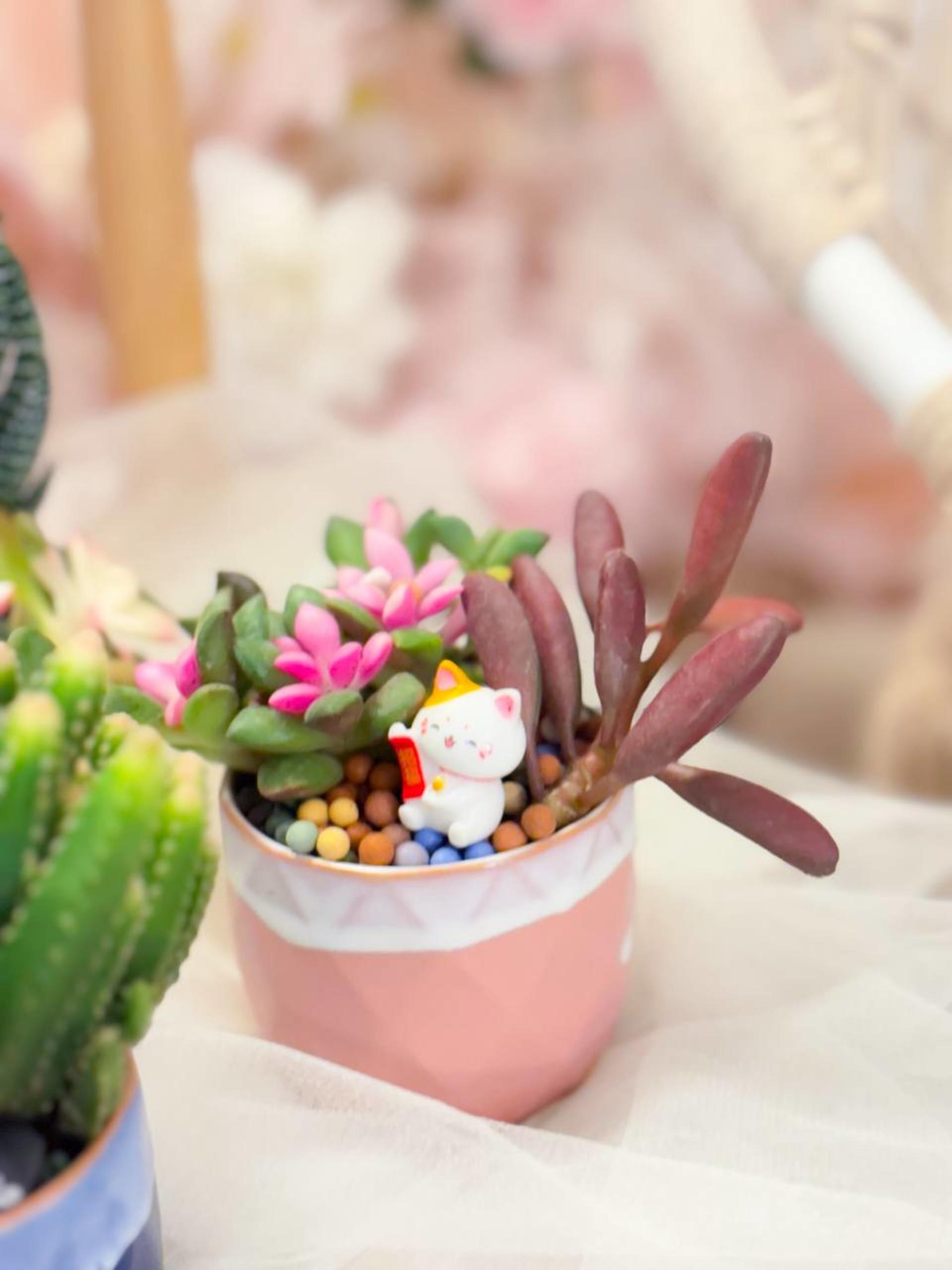 Myosotis Flower - Succulent Terrarium Workshop - Thumbnail 33