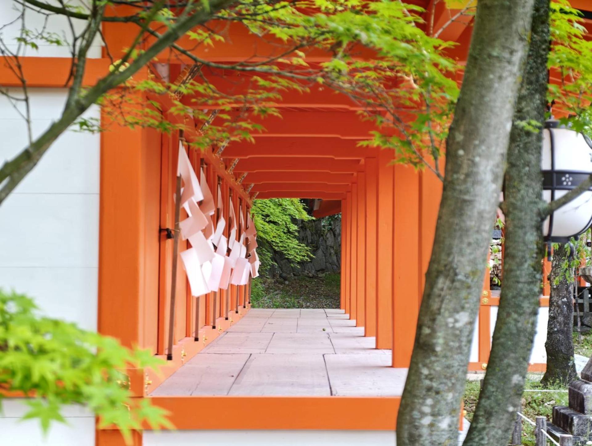 Kyoto After-Dark Yokai & Shrine Small Group Walking Tour - Thumbnail 10