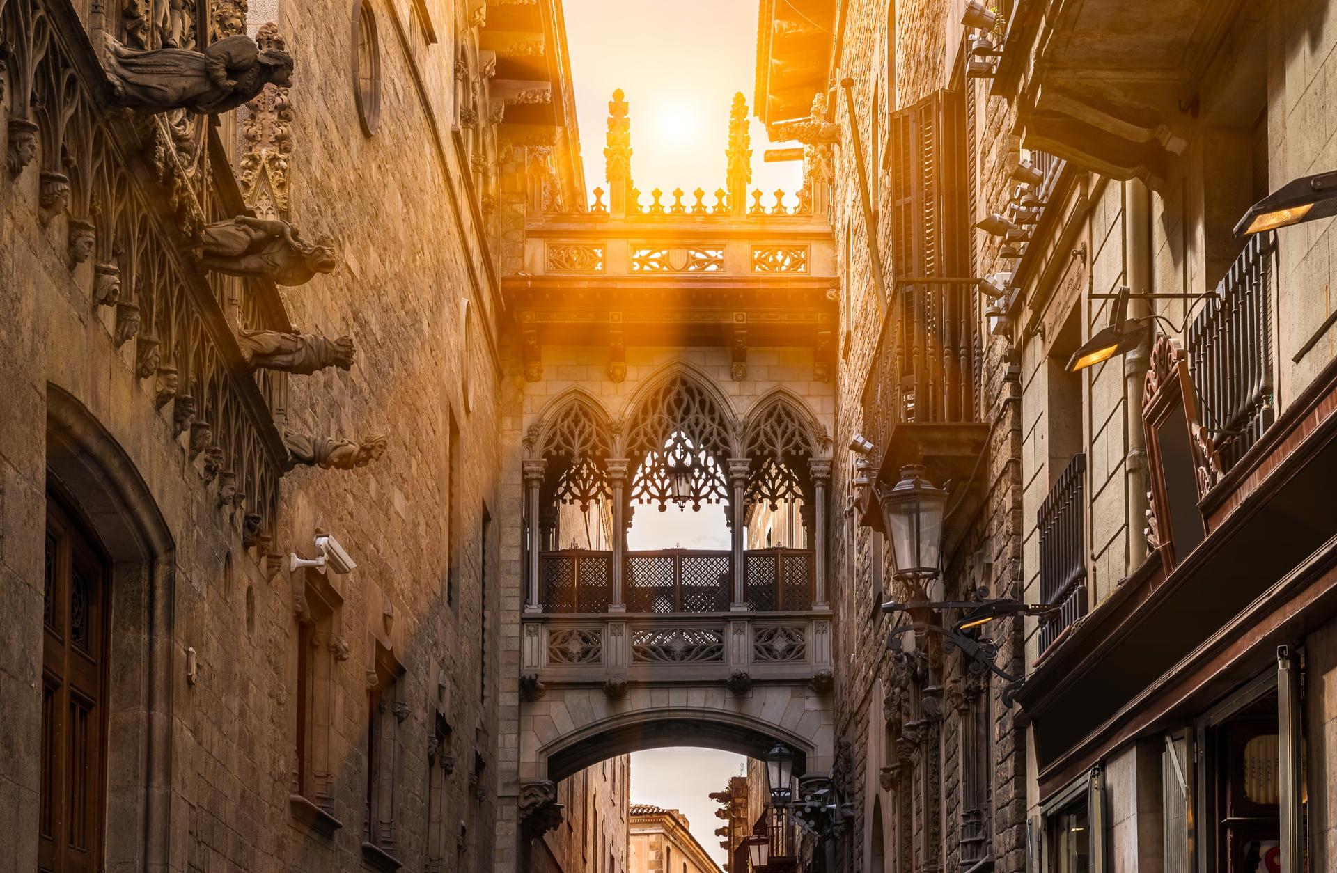 Barcelona's Gothic Quarter Guided Tour, Flamenco Show & Tapas Dinner - Image 1