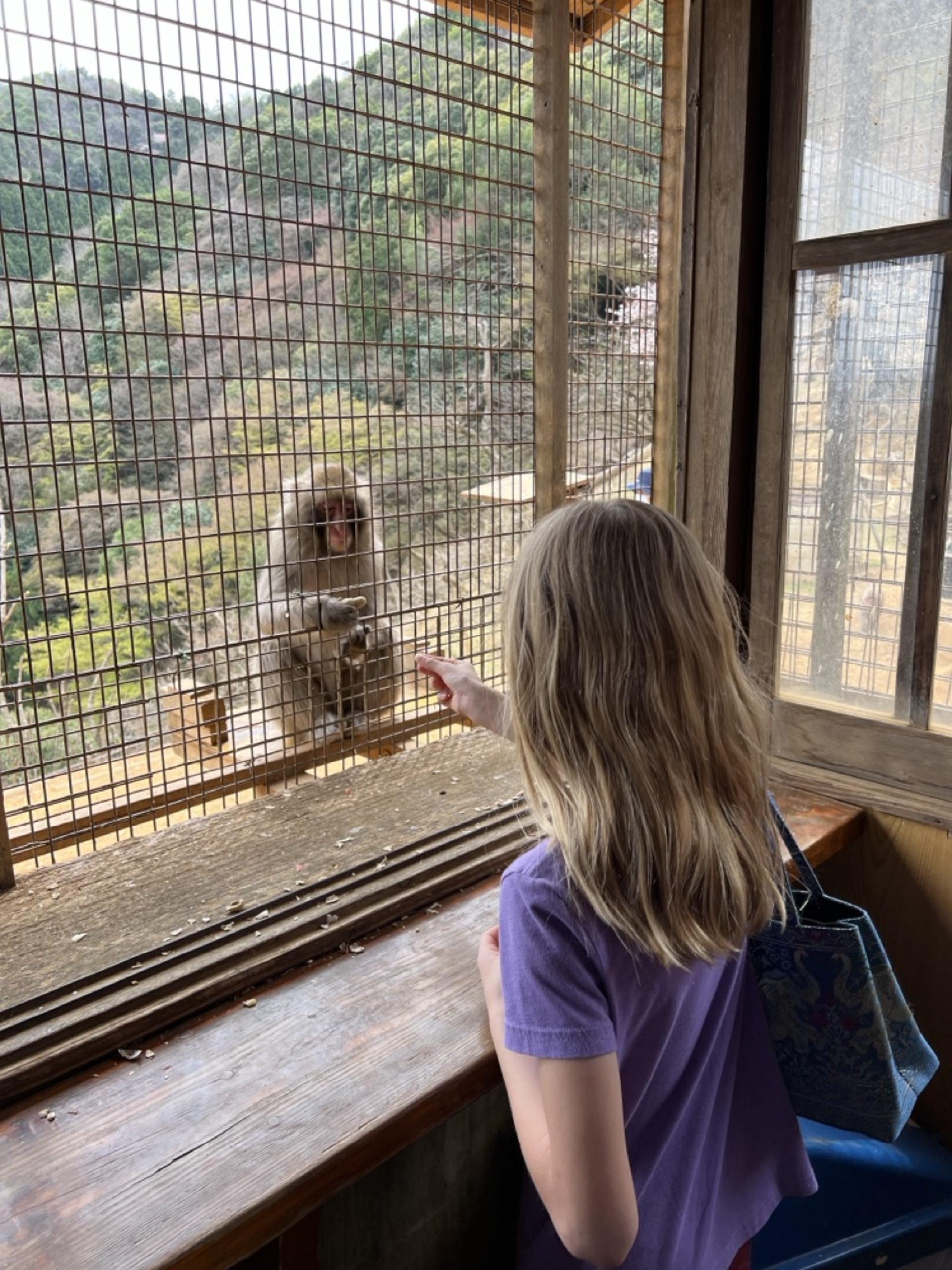Kyoto: Arashiyama Unveiled – Bamboo, Temple, Matcha, Monkeys - Thumbnail 6