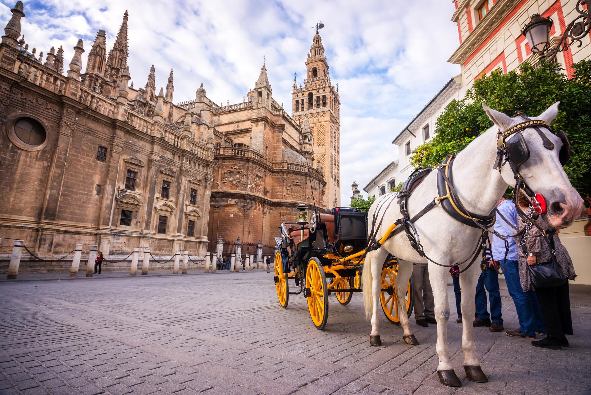 Alcazar, Cathedral and Giralda Tour in Seville - Thumbnail 13