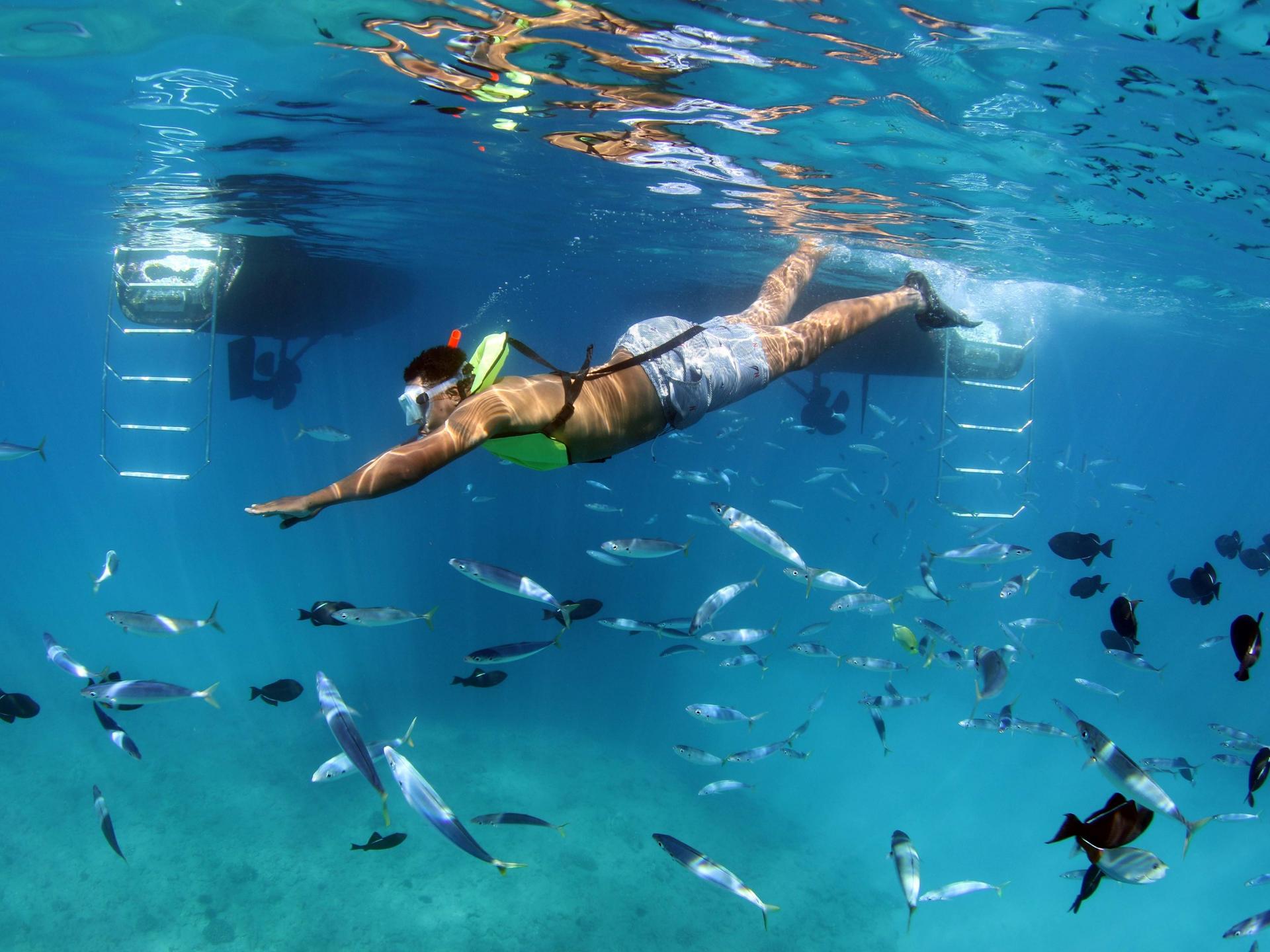 Luxury Sunset Snorkel Cruise with Dolphin Watch in Ko Olina - Thumbnail 15