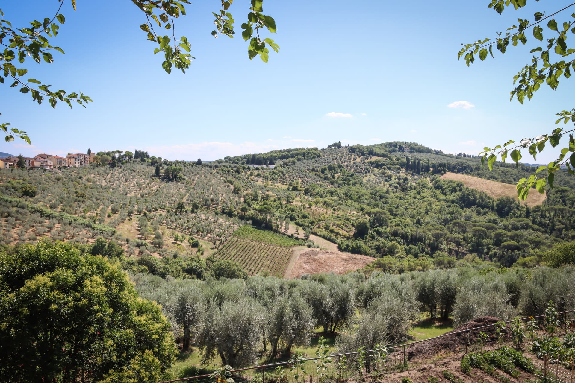 Guided Tuscany Chianti Drive: FIAT E-Car, Wine & Tuscan Lunch - Thumbnail 7