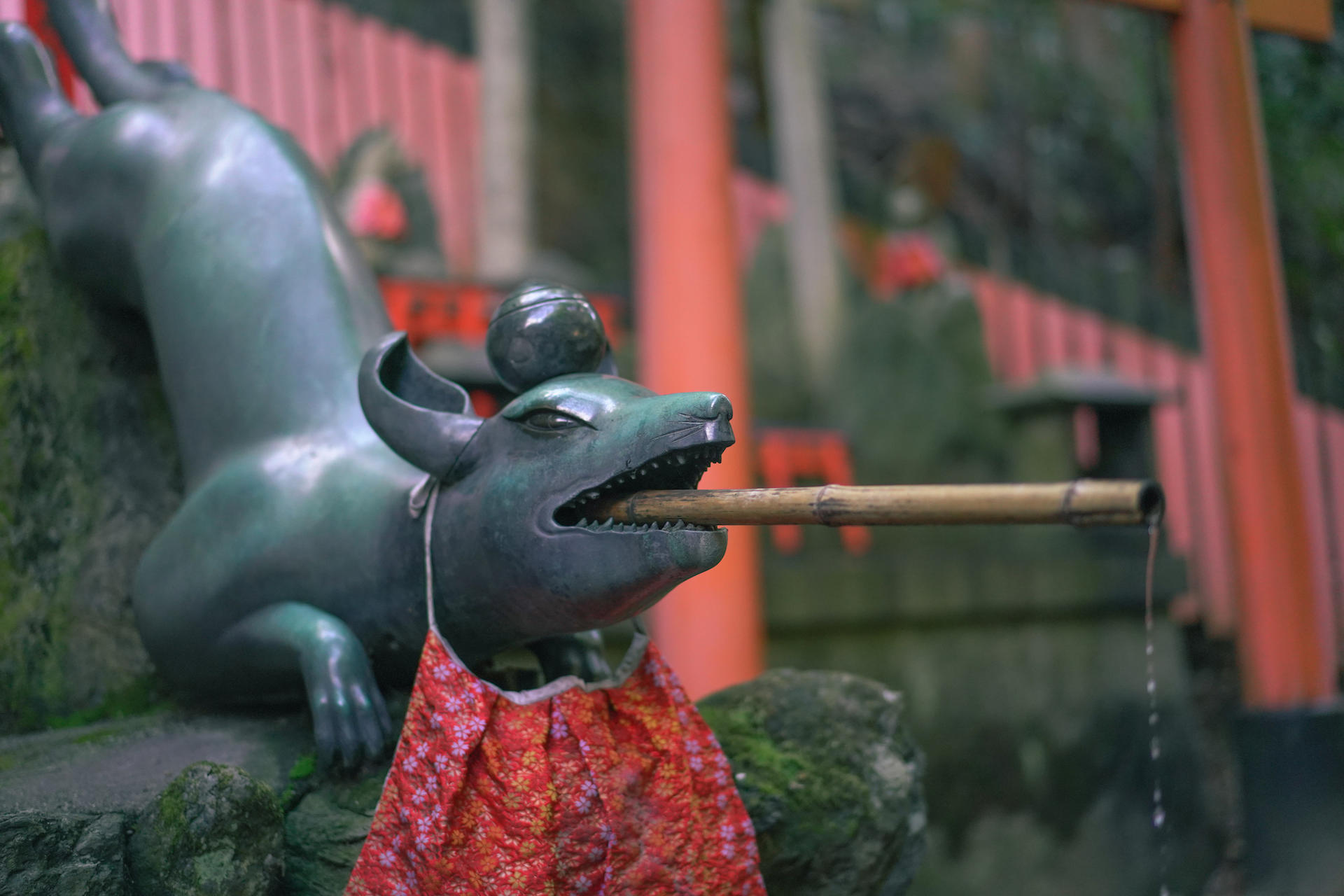 Fushimi Inari Hidden Hiking Tour : Escape the Crowds - Thumbnail 15