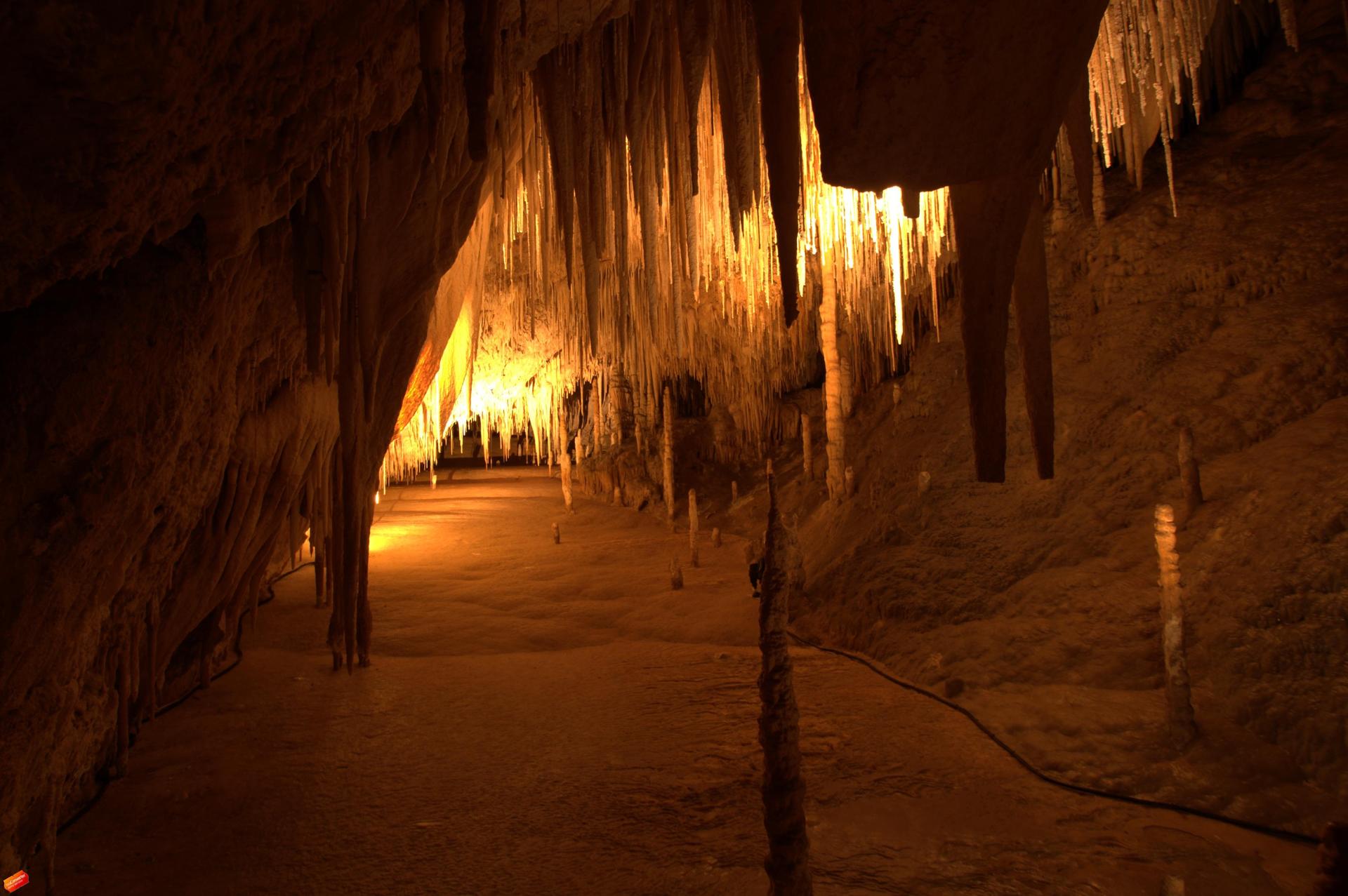 Hobart:  Tahune Airwalk, Hastings Caves & Thermal Springs Pool - Thumbnail 2