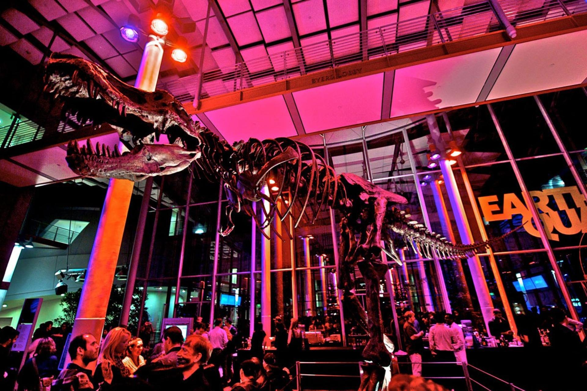 California Academy of Sciences NightLife Ticket in San Francisco - Image 1