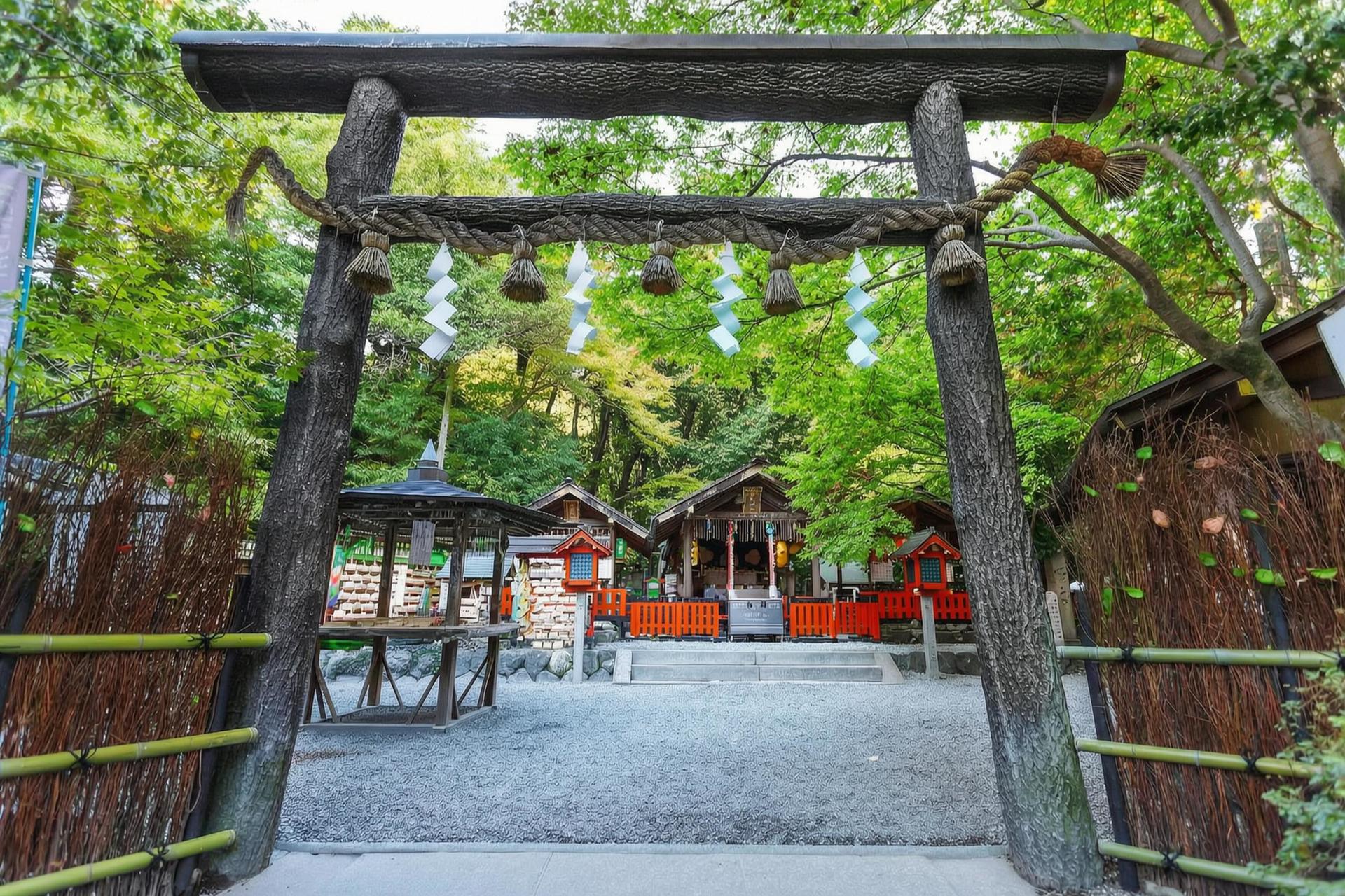 【Kyoto & Nara Historical and Cultural Scenic Day Tour】Arashiyama Scenic Railway & Fushimi Inari-taisha Shrine Senbon Torii & Nara Park & Togetsukyo Bridge & Bamboo Grove Path & Kimono Forest (Departing from Osaka or Kyoto) - Thumbnail 58