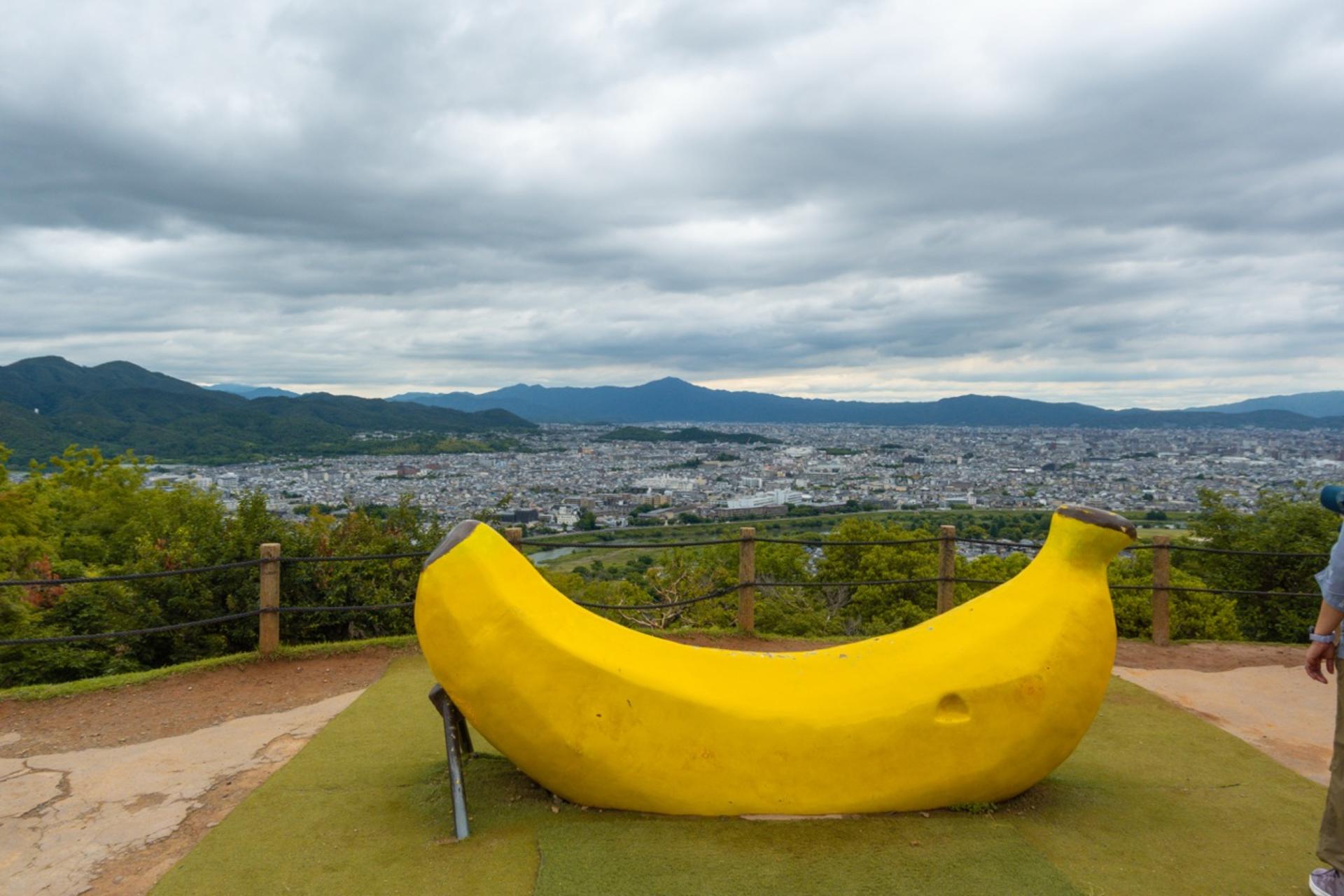 Kyoto: Arashiyama Unveiled – Bamboo, Temple, Matcha, Monkeys - Thumbnail 31