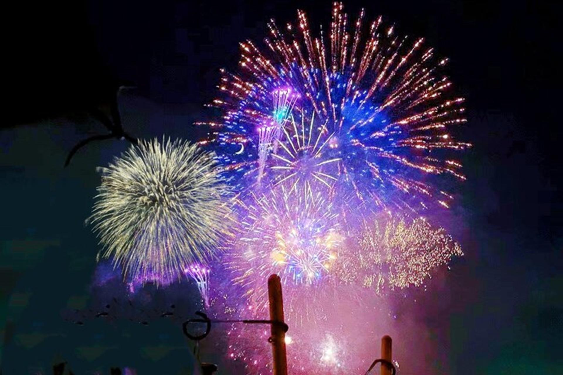 Tokyo Bay Grand Fireworks Festival Special Yakatabune Cruise: Sea Fireworks Viewing, Sukiyaki, and Traditional Japanese Performance - Thumbnail 4