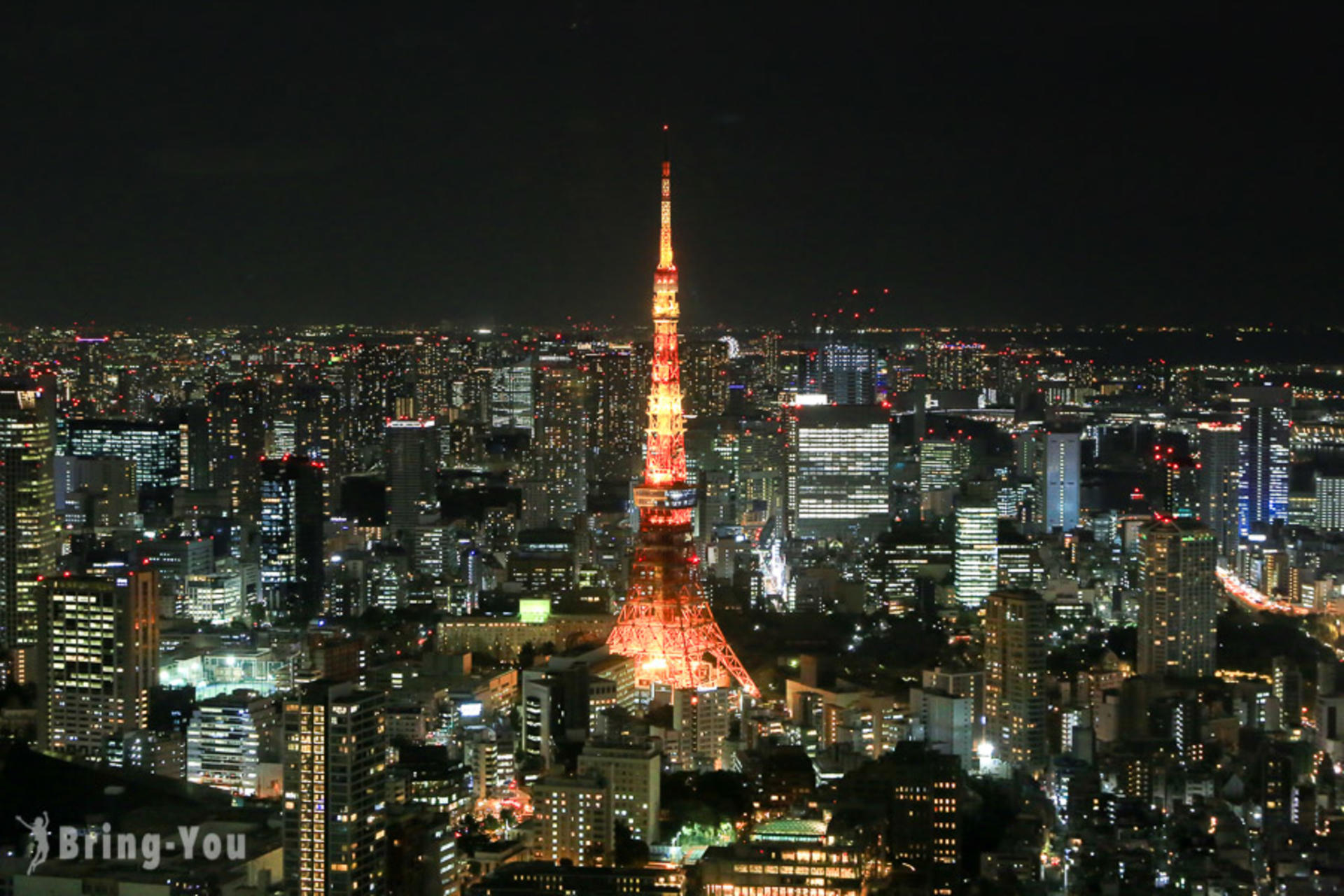 Tokyo Private Chartered Car Day Tour (Customizable Itinerary) - Thumbnail 11