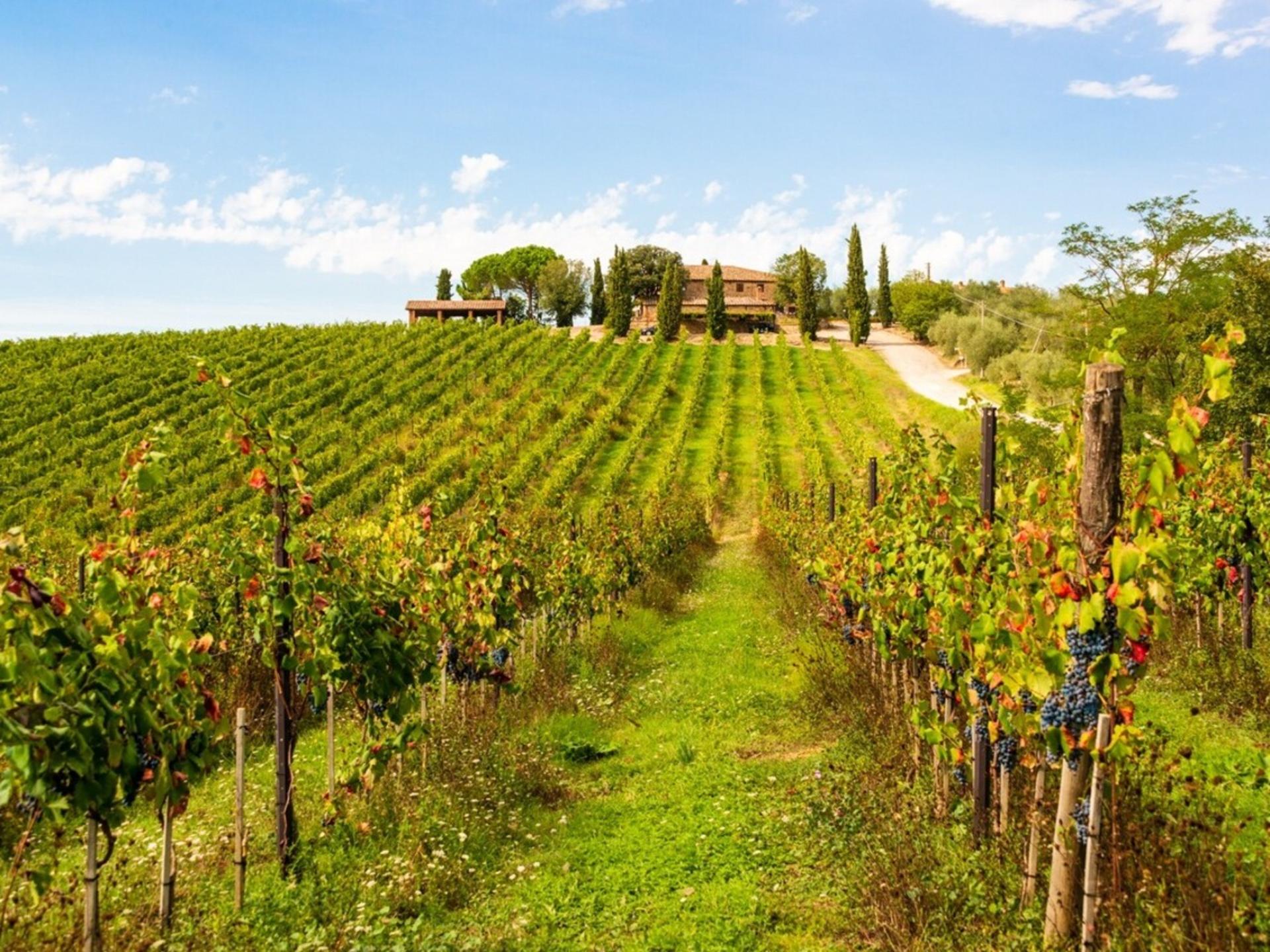 Siena & San Gimignano Private Day Tour From Florence - Thumbnail 5