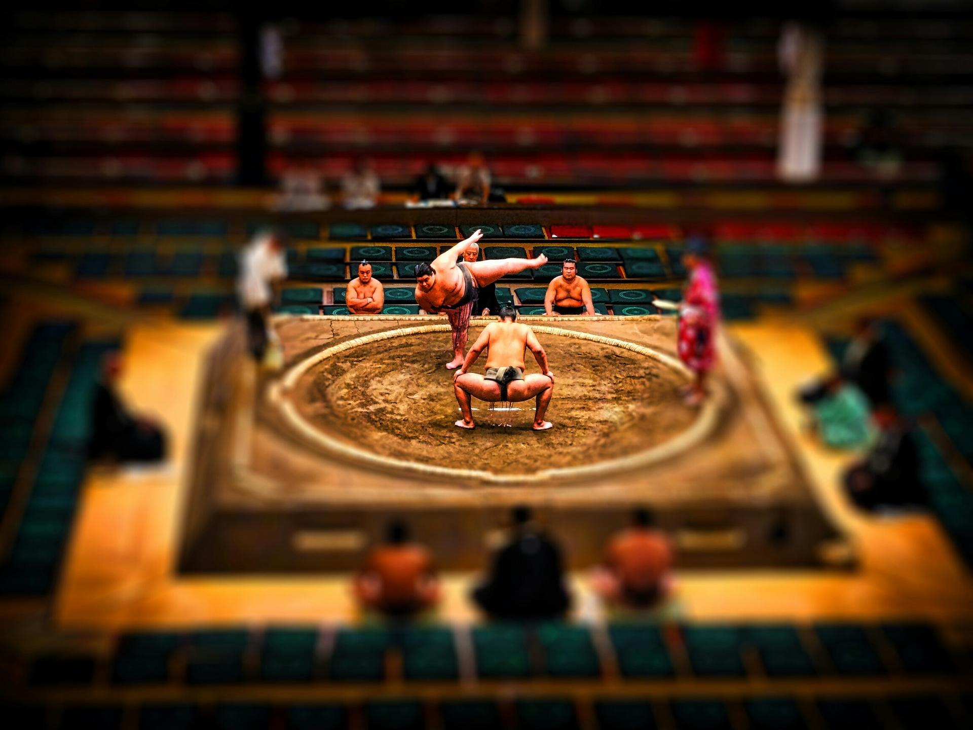 Tokyo Sumo Tournament: Guided Experience with Assigned Seat & Ticket - Thumbnail 13