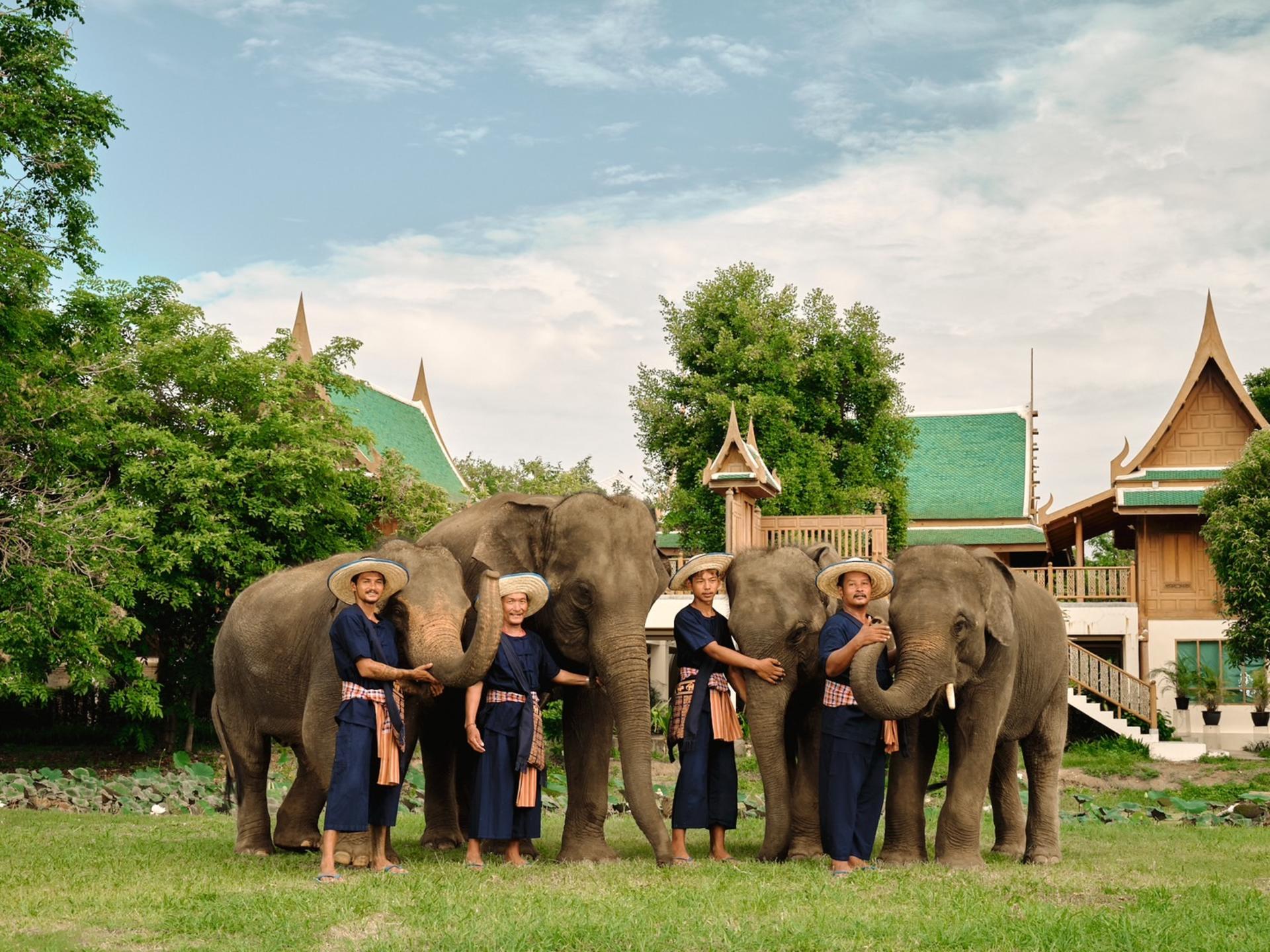 Bangkok Elephant Park and Grand Palace Full Day Tour - Thumbnail 6