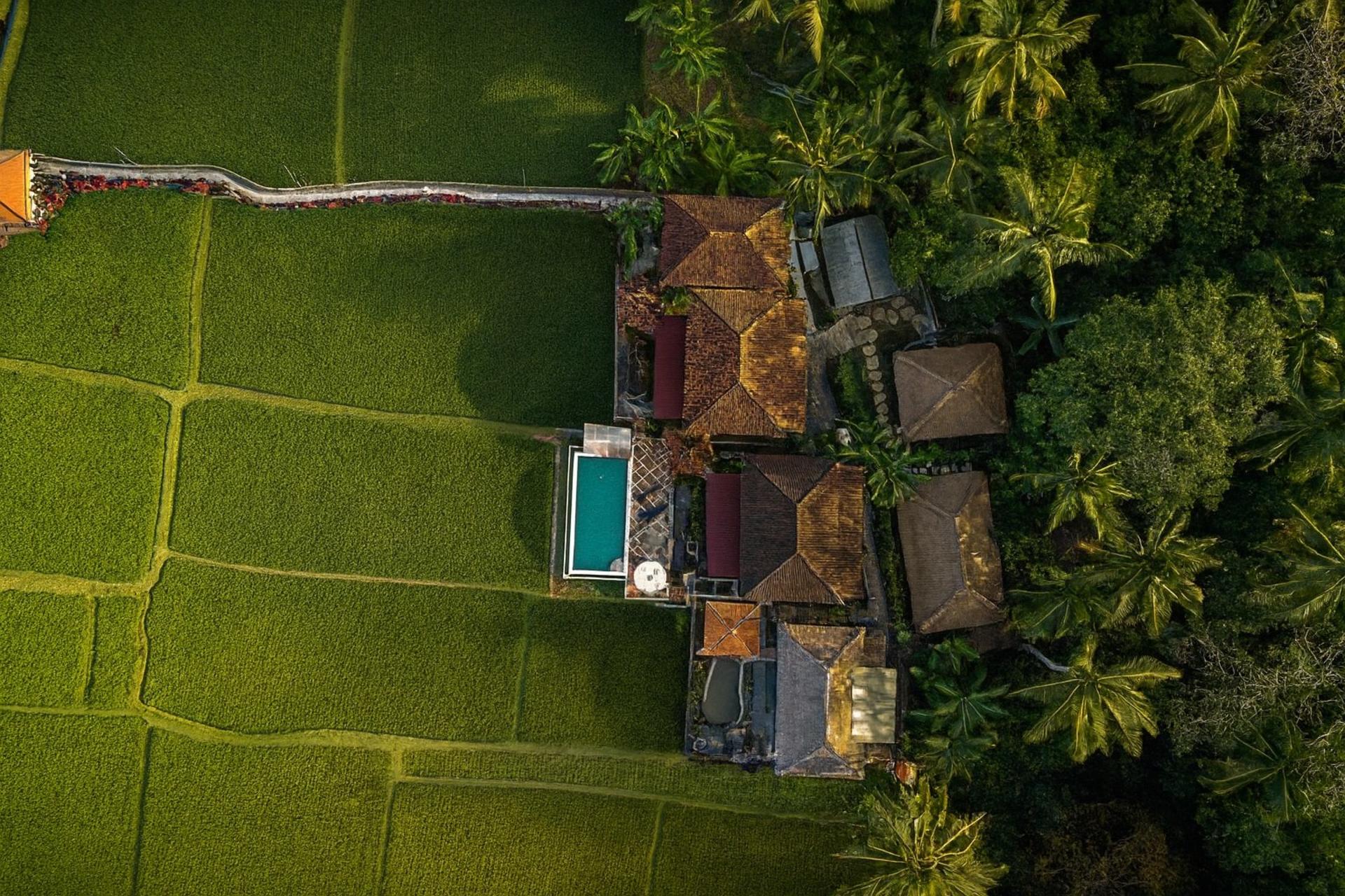 7 Day Firefly Retreat in Ubud Bali - Thumbnail 27