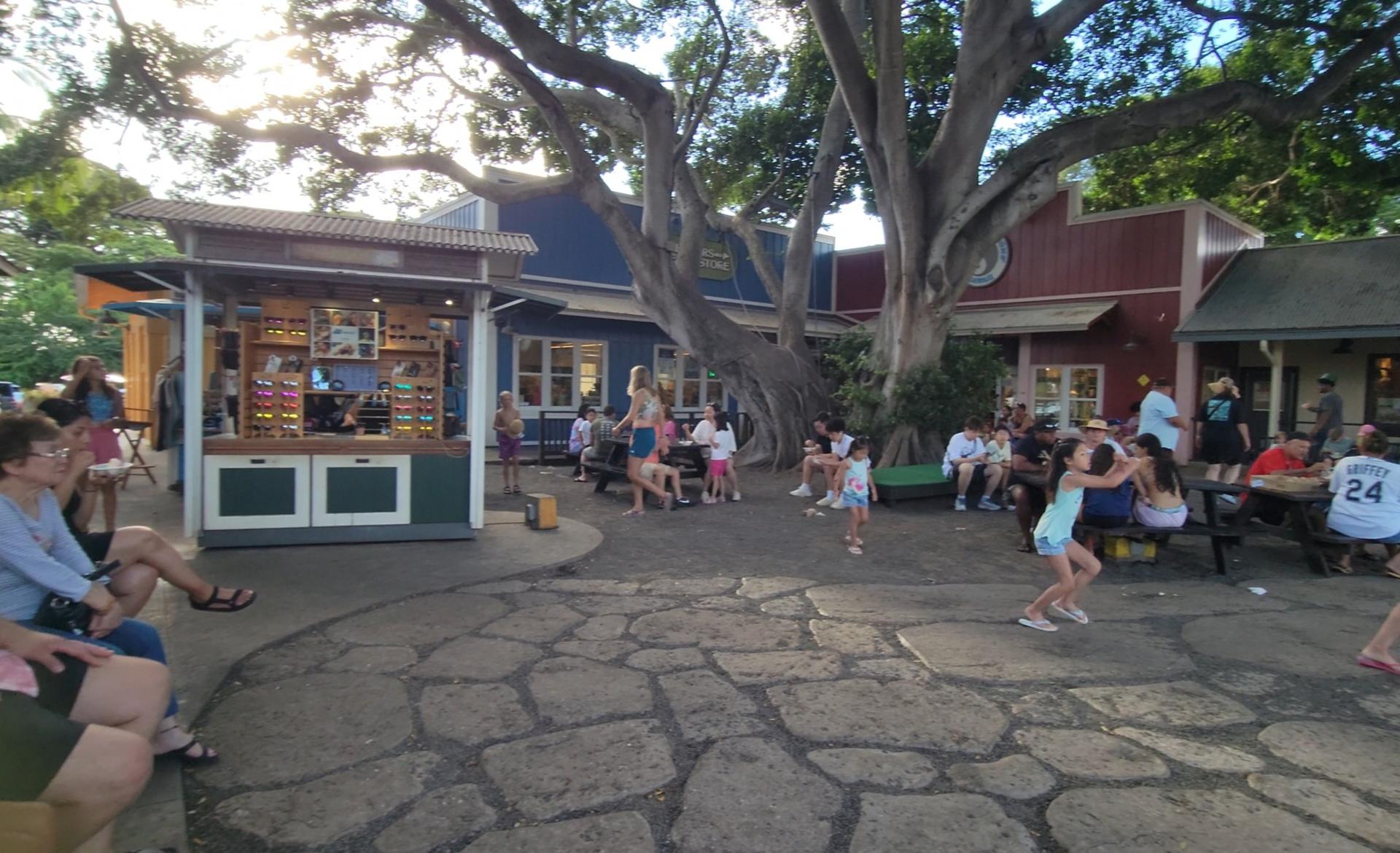 Oahu North Shore Circle Island Adventure + Swimming with Turtles - Thumbnail 3
