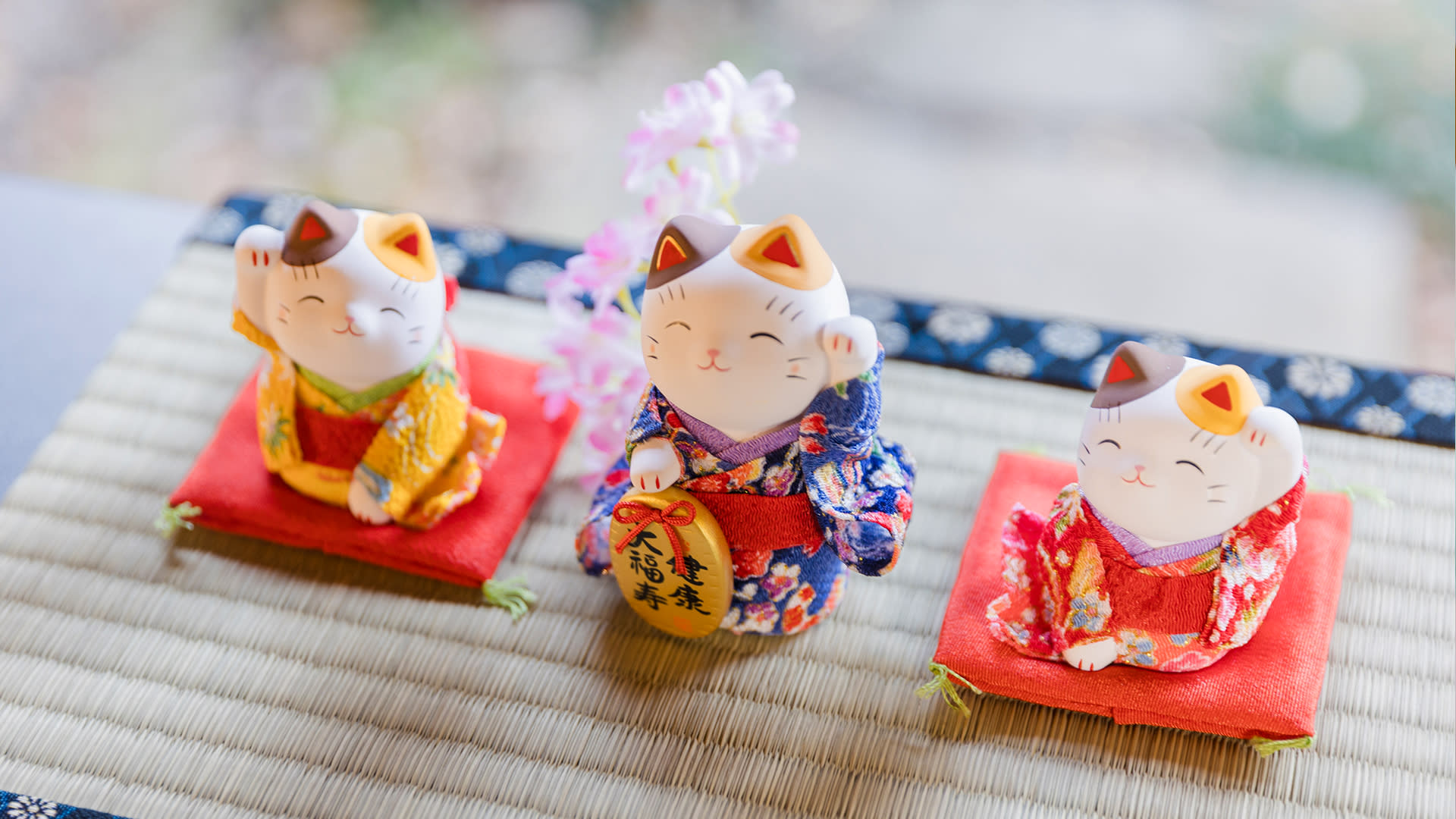 Kimono Rental inside Shinjuku Gyoen National Garden: KOUICHI STORE - Thumbnail 19