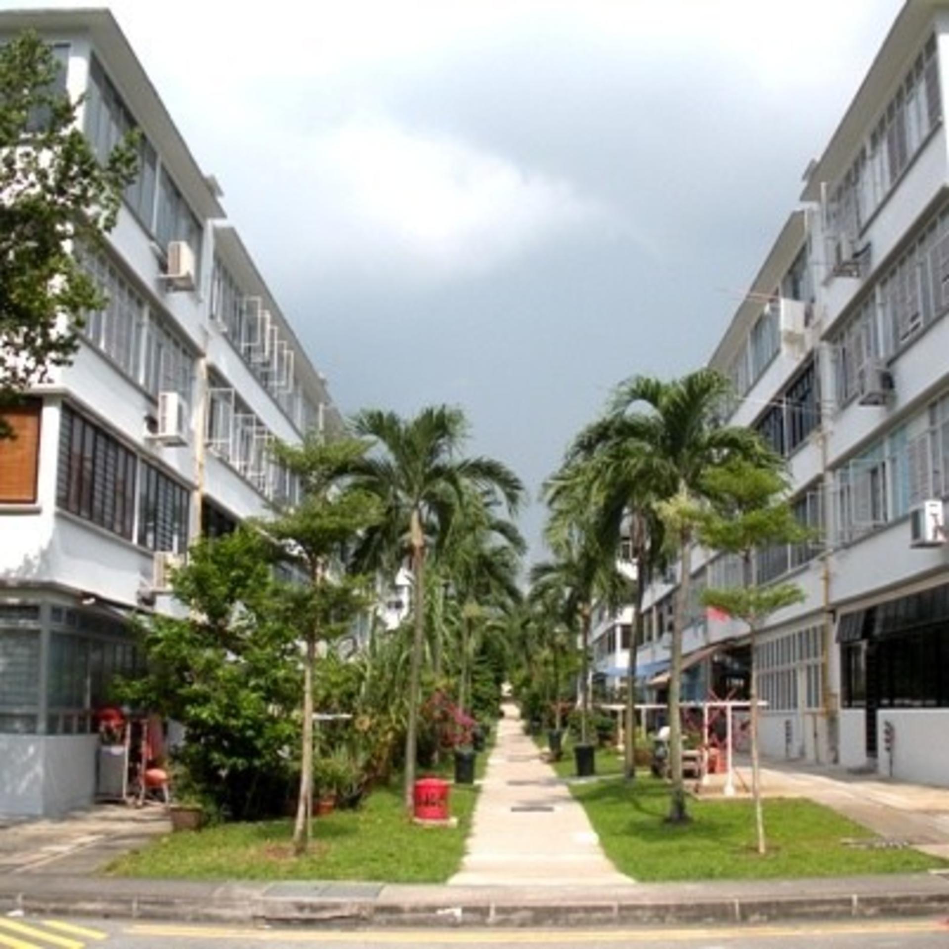 Pre-HDB Housing Estate Tour in Tiong Bahru - Thumbnail 4