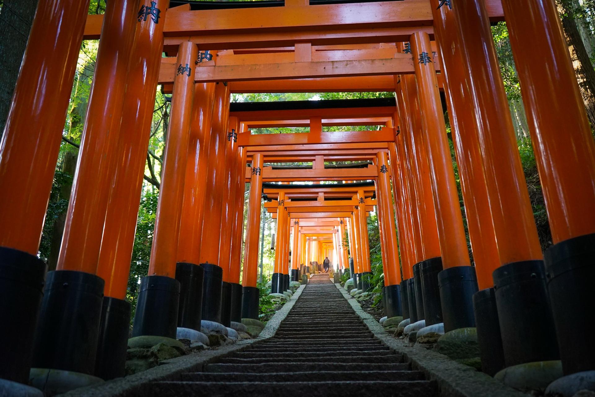 Fushimi Inari Hidden Hiking Tour : Escape the Crowds - Thumbnail 4
