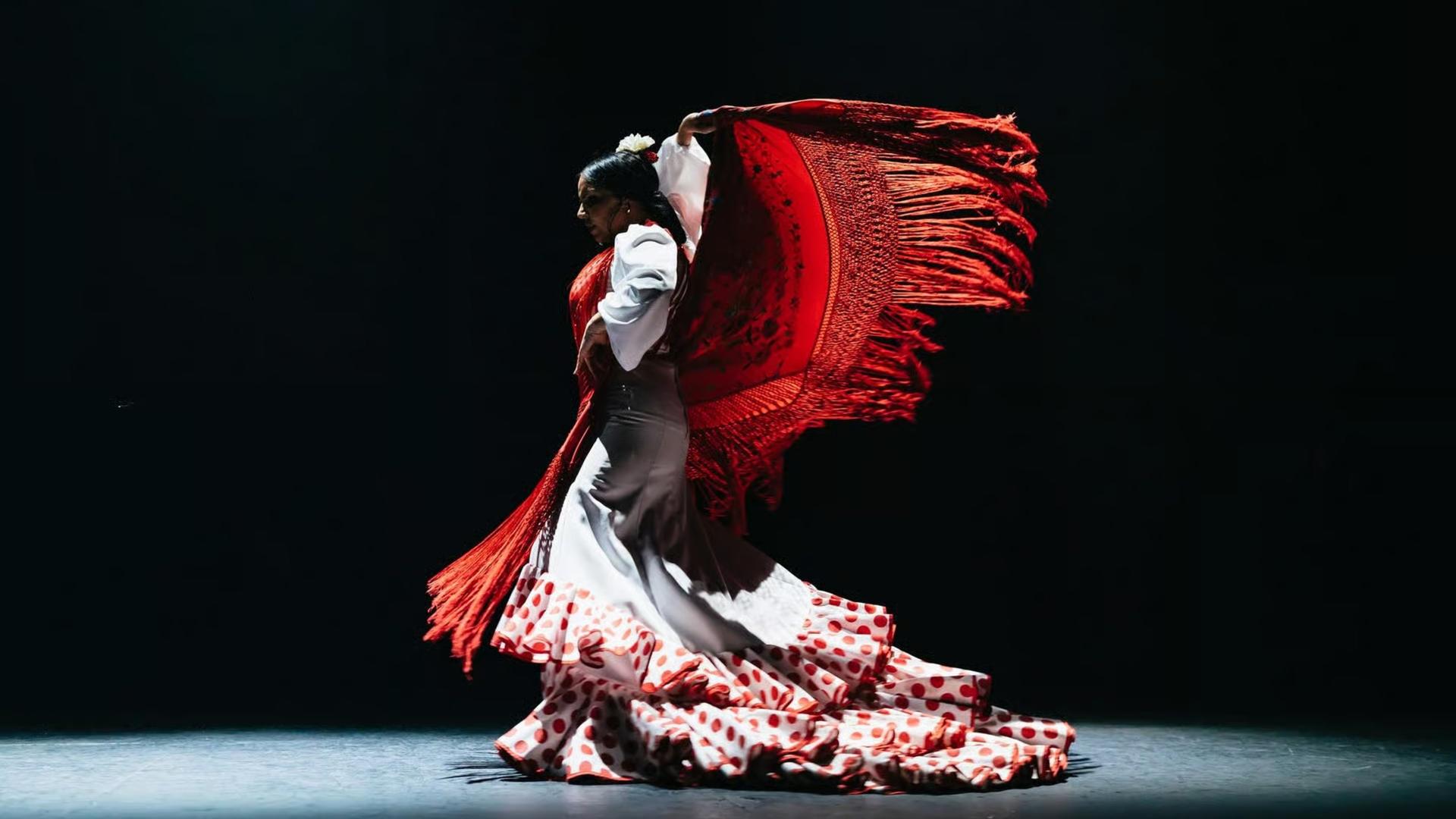 Pasion Flamenco Show in Seville - Thumbnail 10