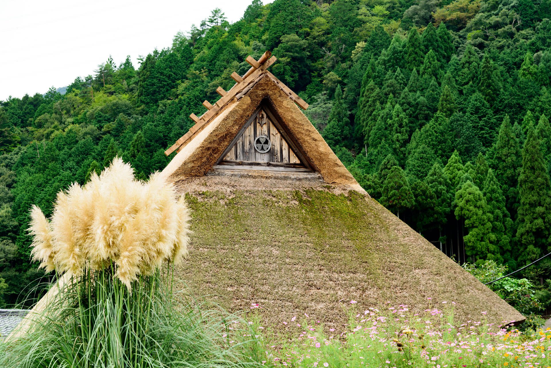 Day Trip to Amanohashidate & Ine no Funaya & Miyama Thatched Village in the Sea of Kyoto (Departure from Osaka or Kyoto) - Thumbnail 35