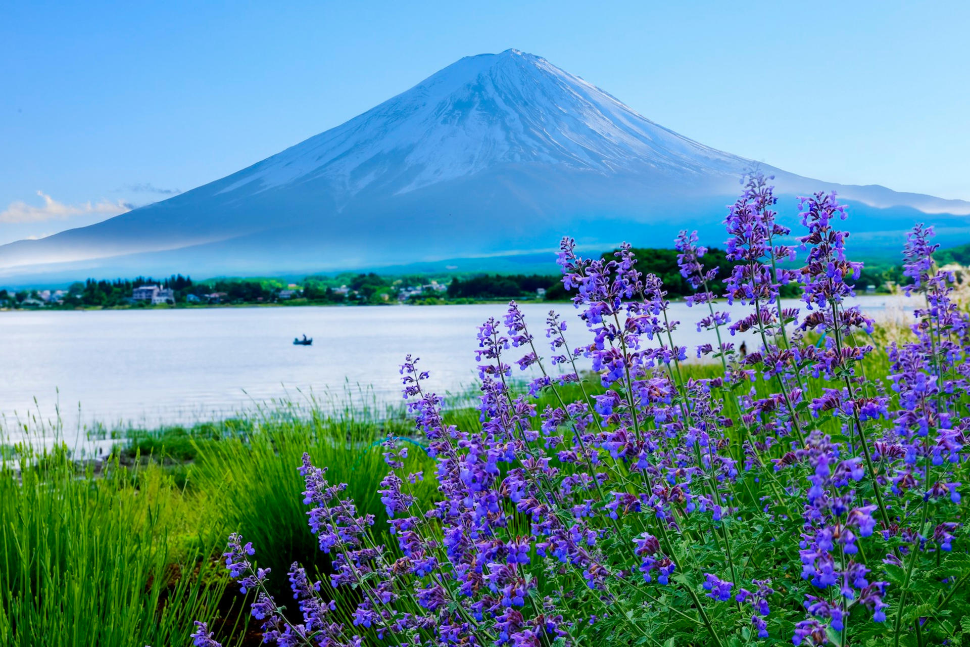 10 Day Japan Private Tour Unveiling Maximum Attractions - Thumbnail 6