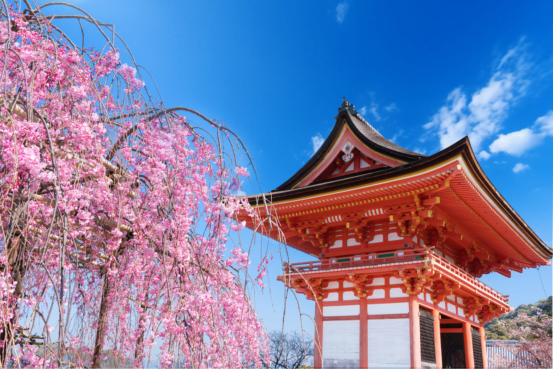 Kyoto & Uji World Heritage One-Day Tour: Kinkaku-ji Temple & Kiyomizu-dera Temple & Byodo-in Temple & Uji Matcha Food Street (Departing from Osaka or Kyoto) - Thumbnail 8