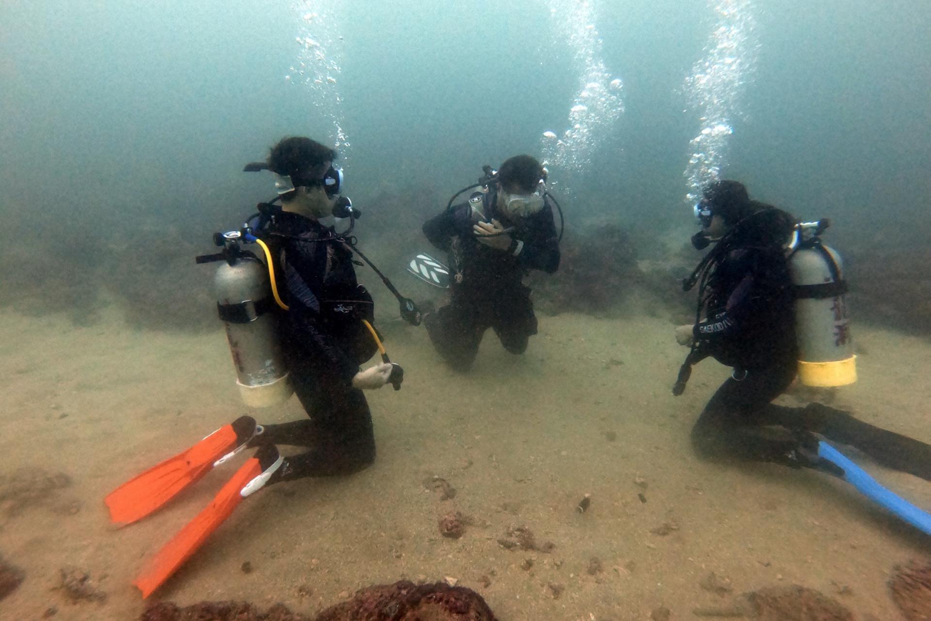 2-Day Open Water Diving Course at Longdong Bay from Taipei - Thumbnail 2