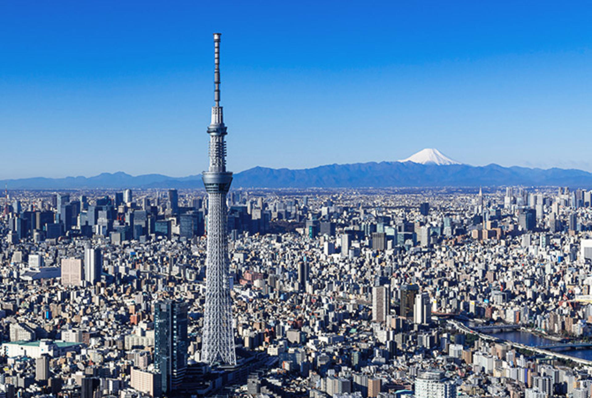 Tokyo Private Chartered Car Day Tour (Customizable Itinerary) - Thumbnail 3