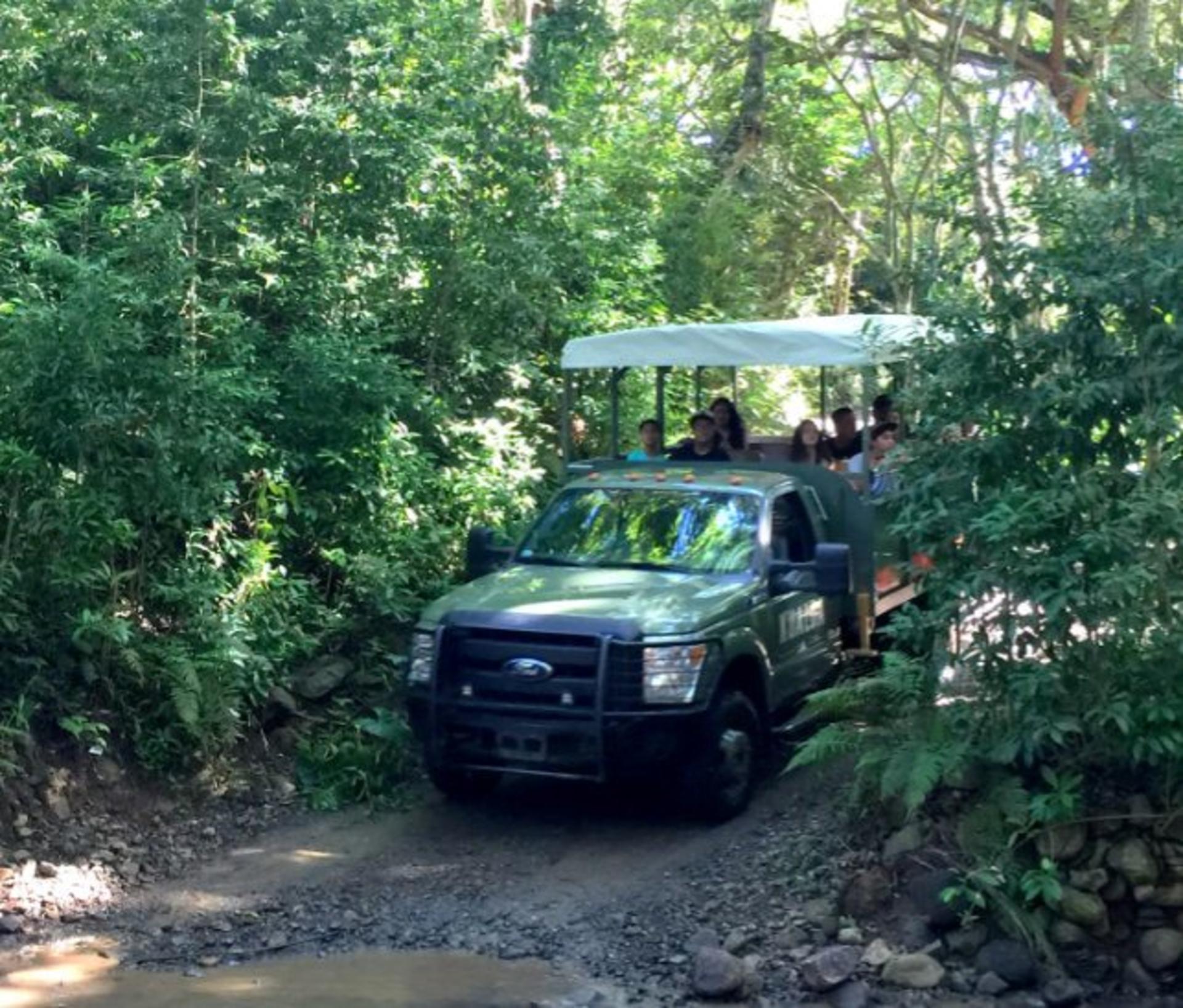 Kaneohe Hakipu u Rainforest Jungle Expedition - Thumbnail 5