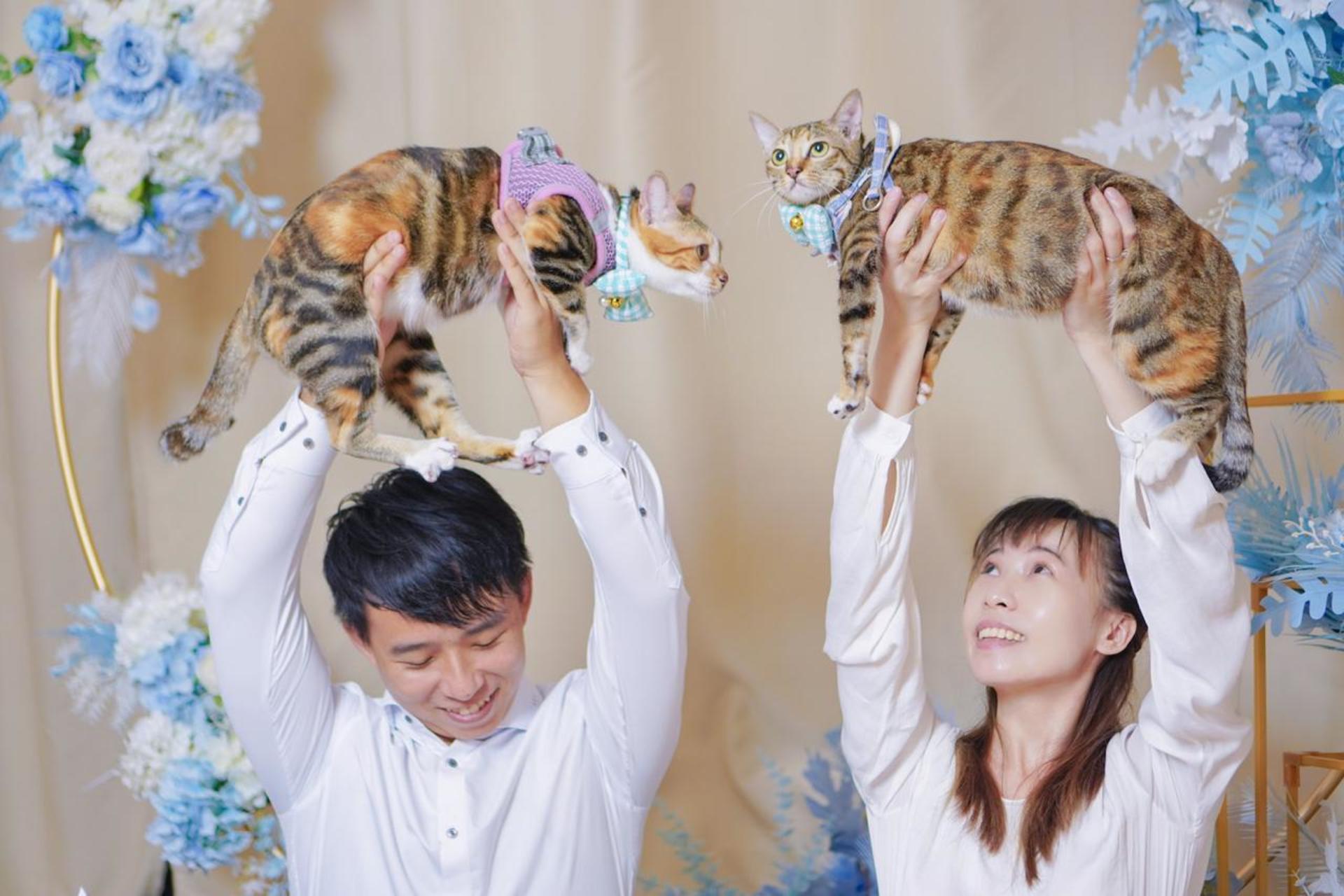 Hong Kong Kwun Tong Pet Photography (STUDIO) | Kwun Tong Studio + Kwun Tong Promenade - Thumbnail 10