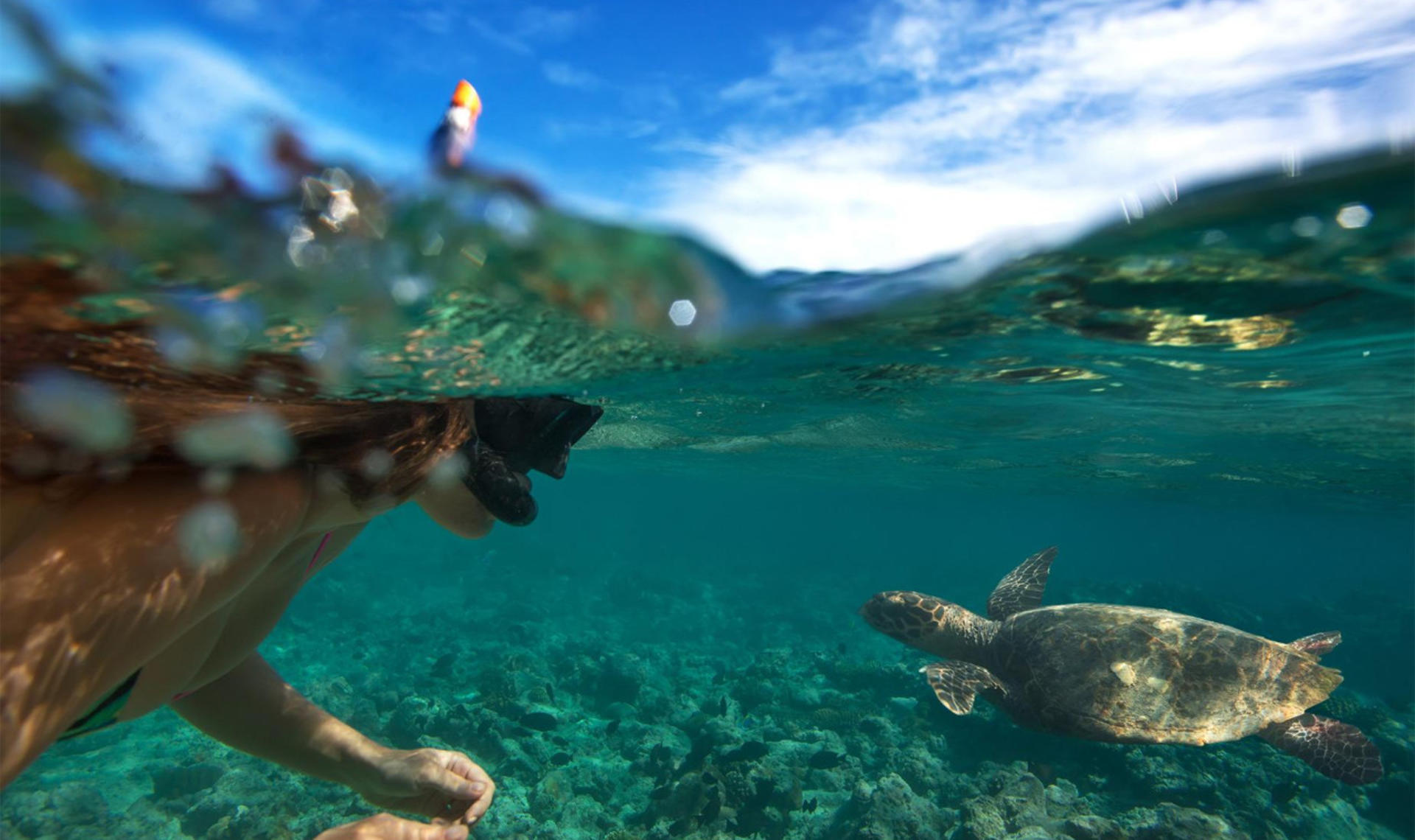 Oahu North Shore Circle Island Adventure + Swimming with Turtles - Image 1