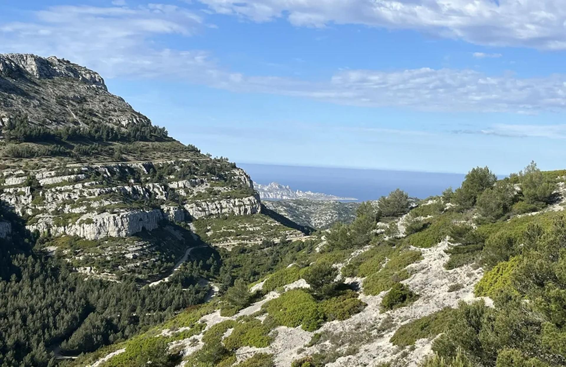 Cassis & Cap Canaille Private Tour: Harbor Charm & Coastal Views - Thumbnail 8