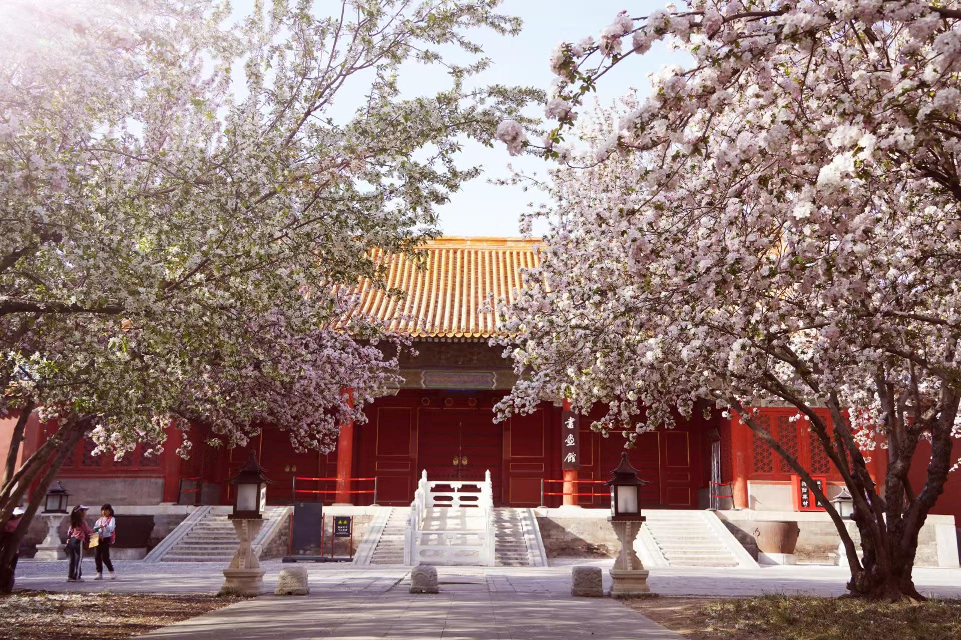 Forbidden City + Summer Palace Guided Day Tour | In-depth commentary - Thumbnail 3