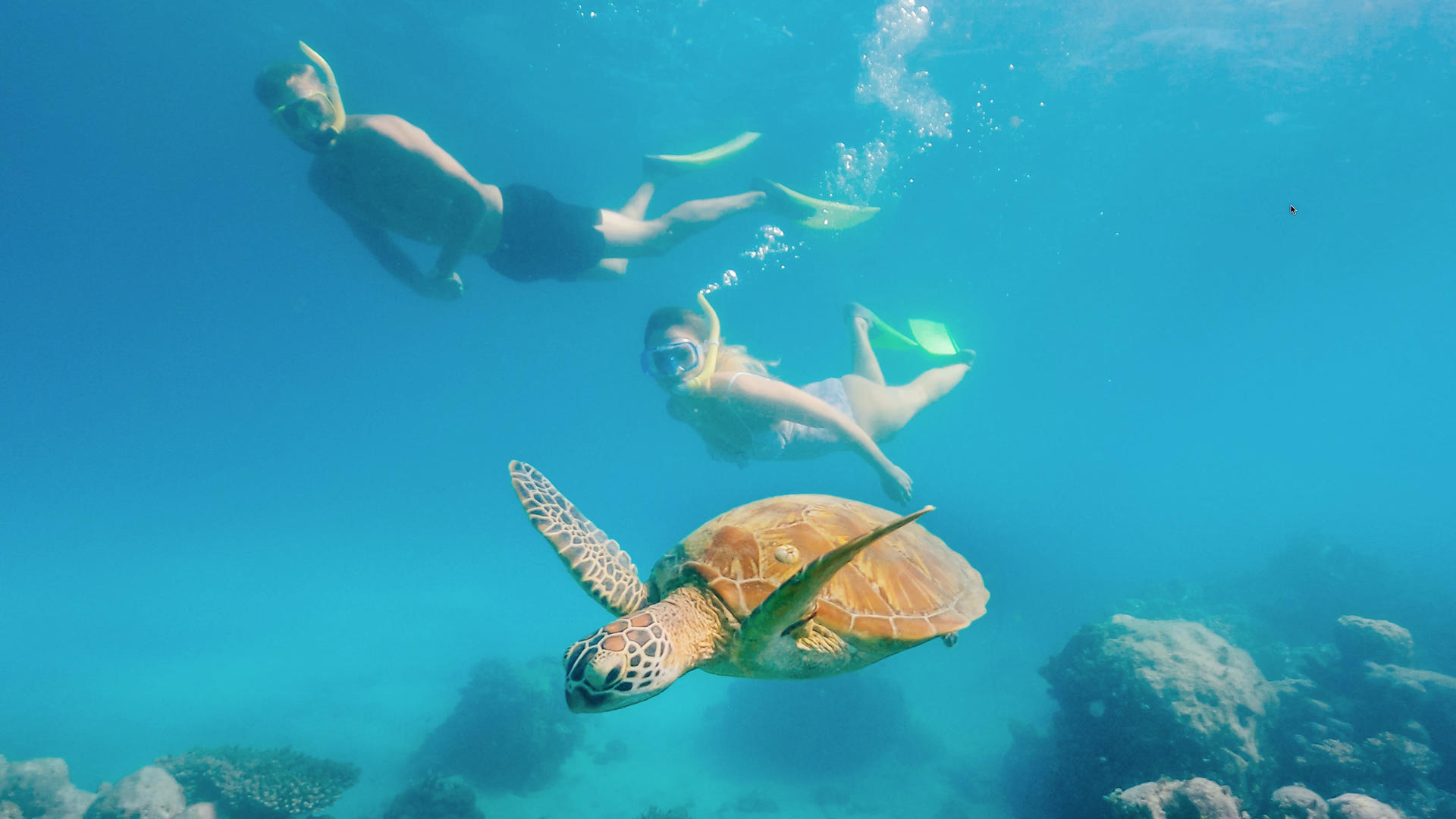 Green Island Snorkelling & Glass Bottom Boat Day Tour - Thumbnail 5