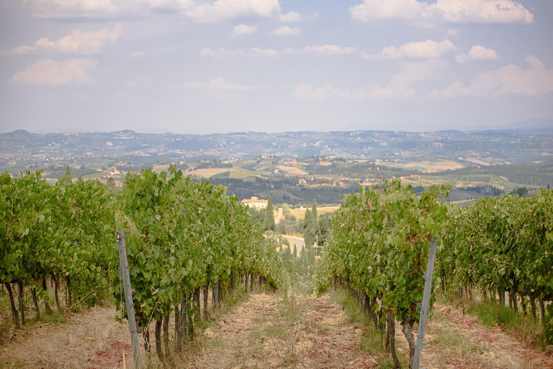 Siena, San Gimignano, Monteriggioni, and Chianti Wine Tasting Tour - Thumbnail 15