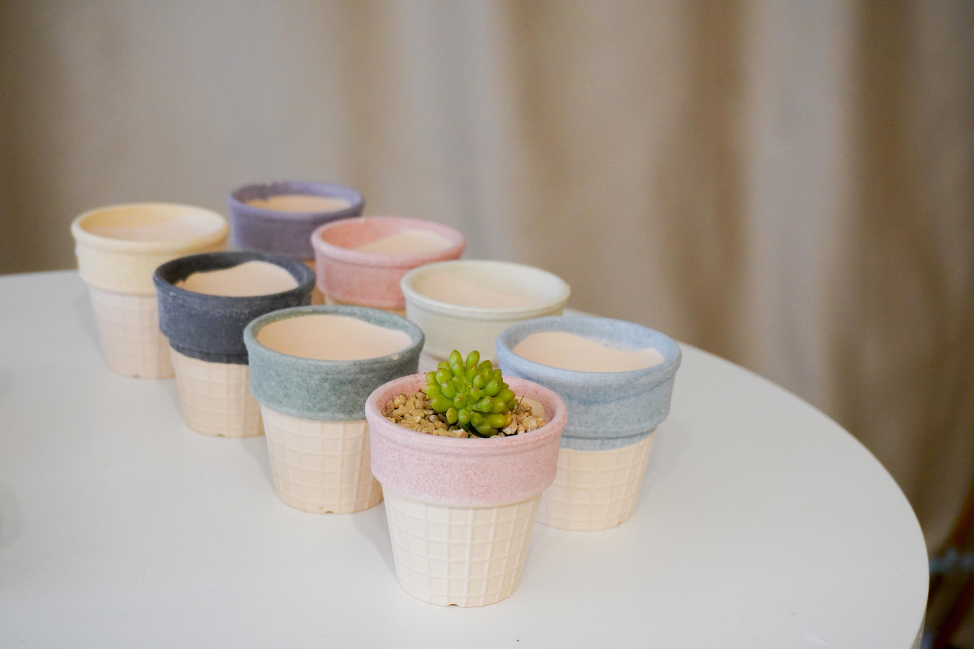 Succulent Plant Potted Plant Workshop - Thumbnail 2